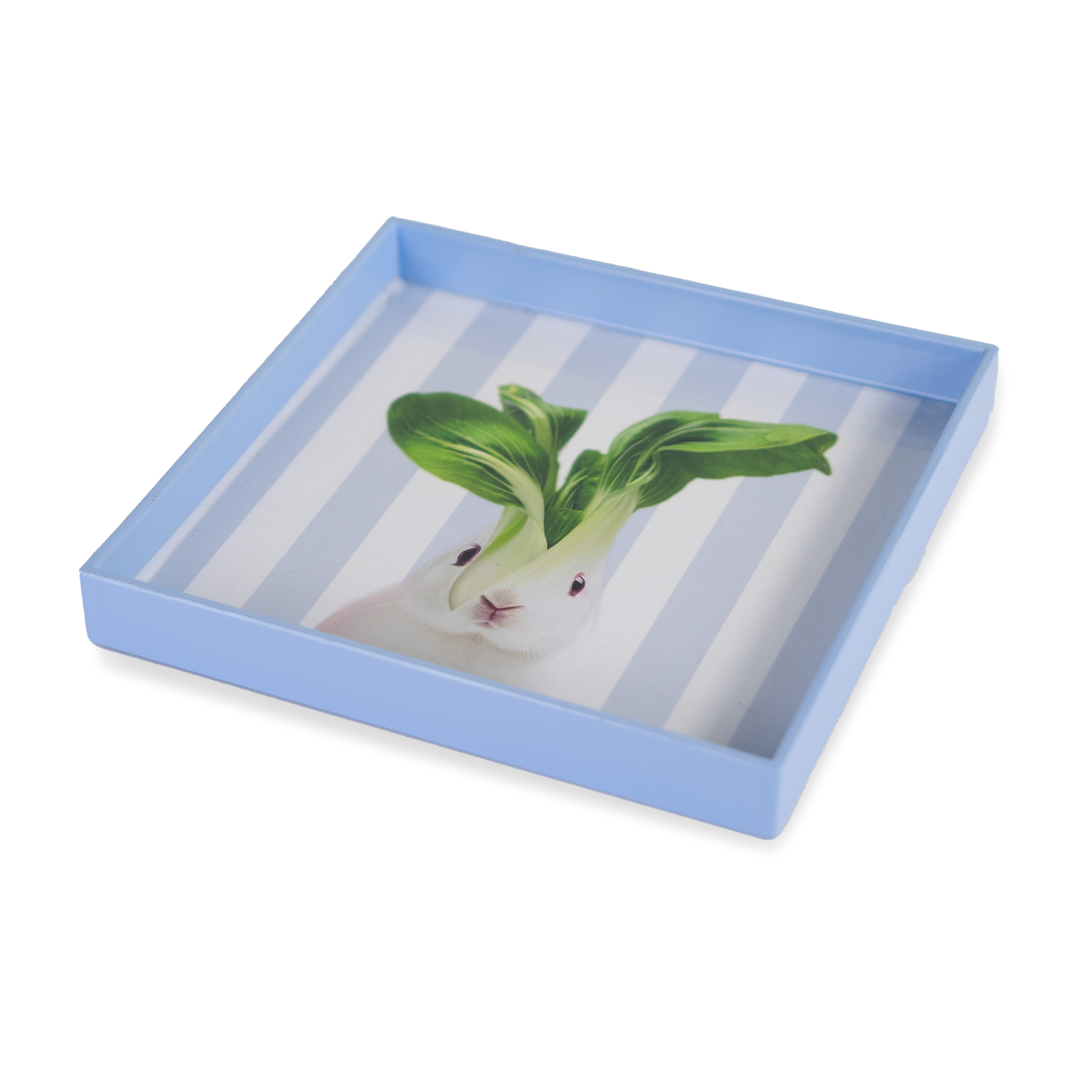 Square Pocket Emptier Tray 20 X 20 Cm Rabbit Decoration Gift
