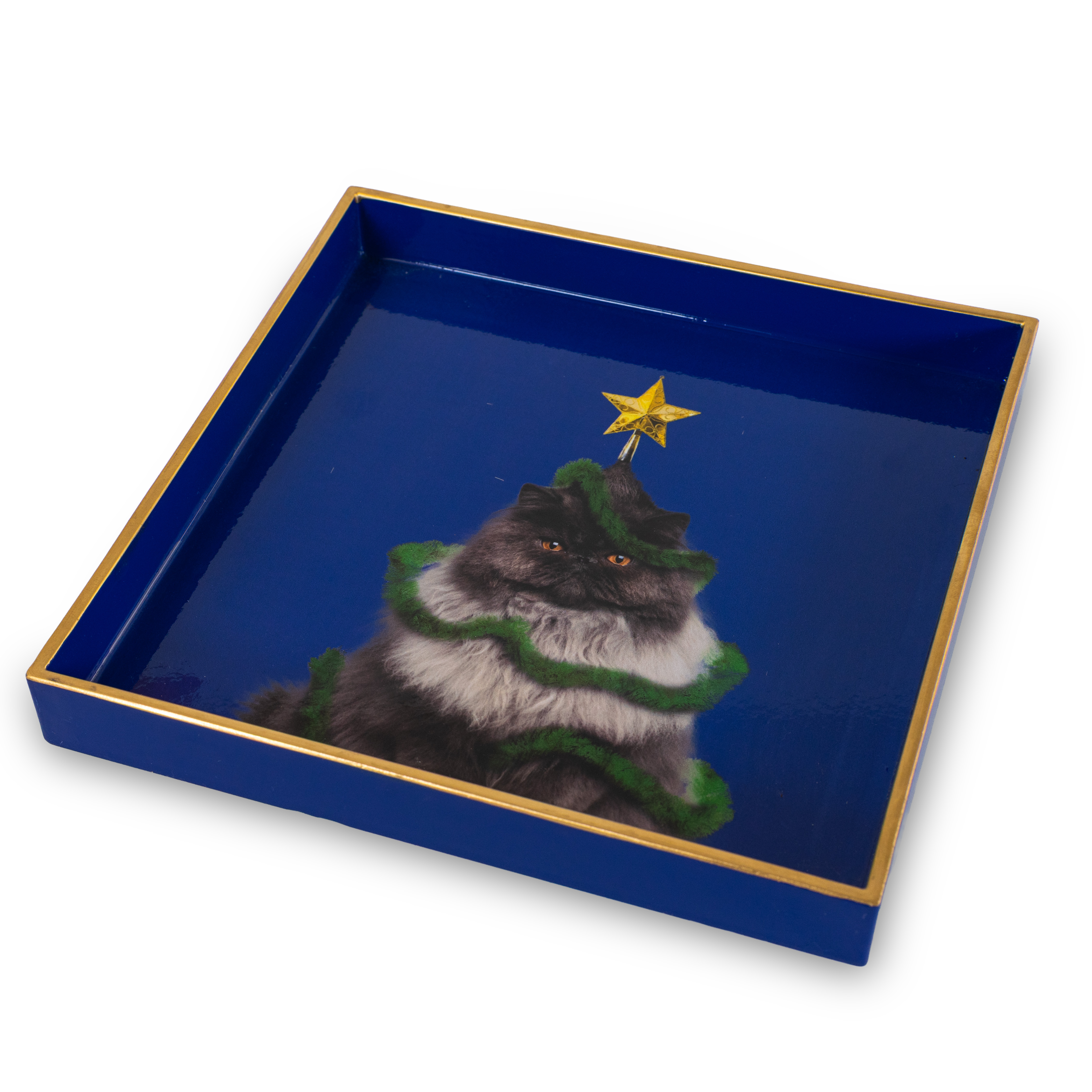 Square Pocket Emptier Tray 20 X 20 Cm Xmas Cat Decoration Gift