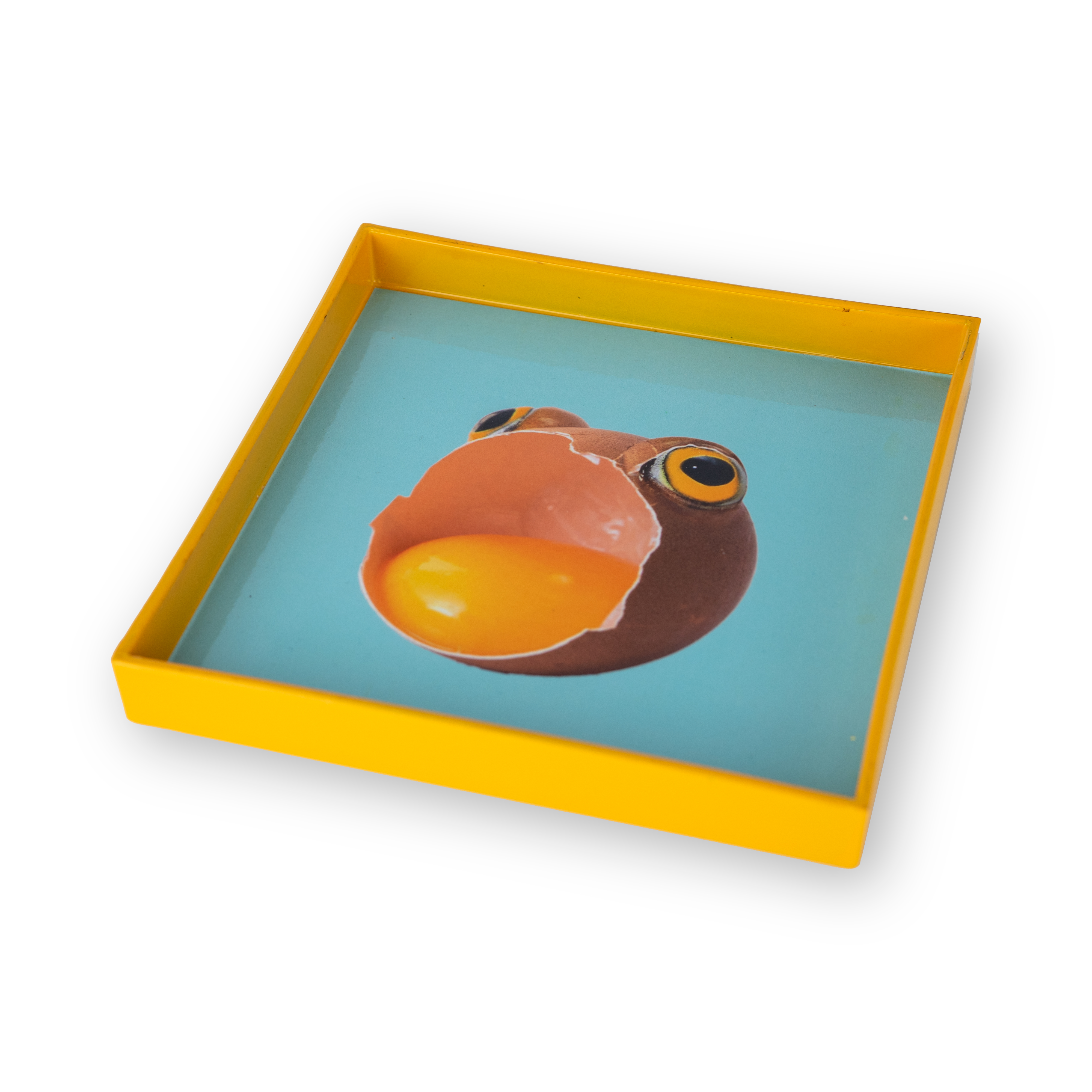 Square Pocket Emptier Tray 20 X 20 Cm Egg Decoration Gift
