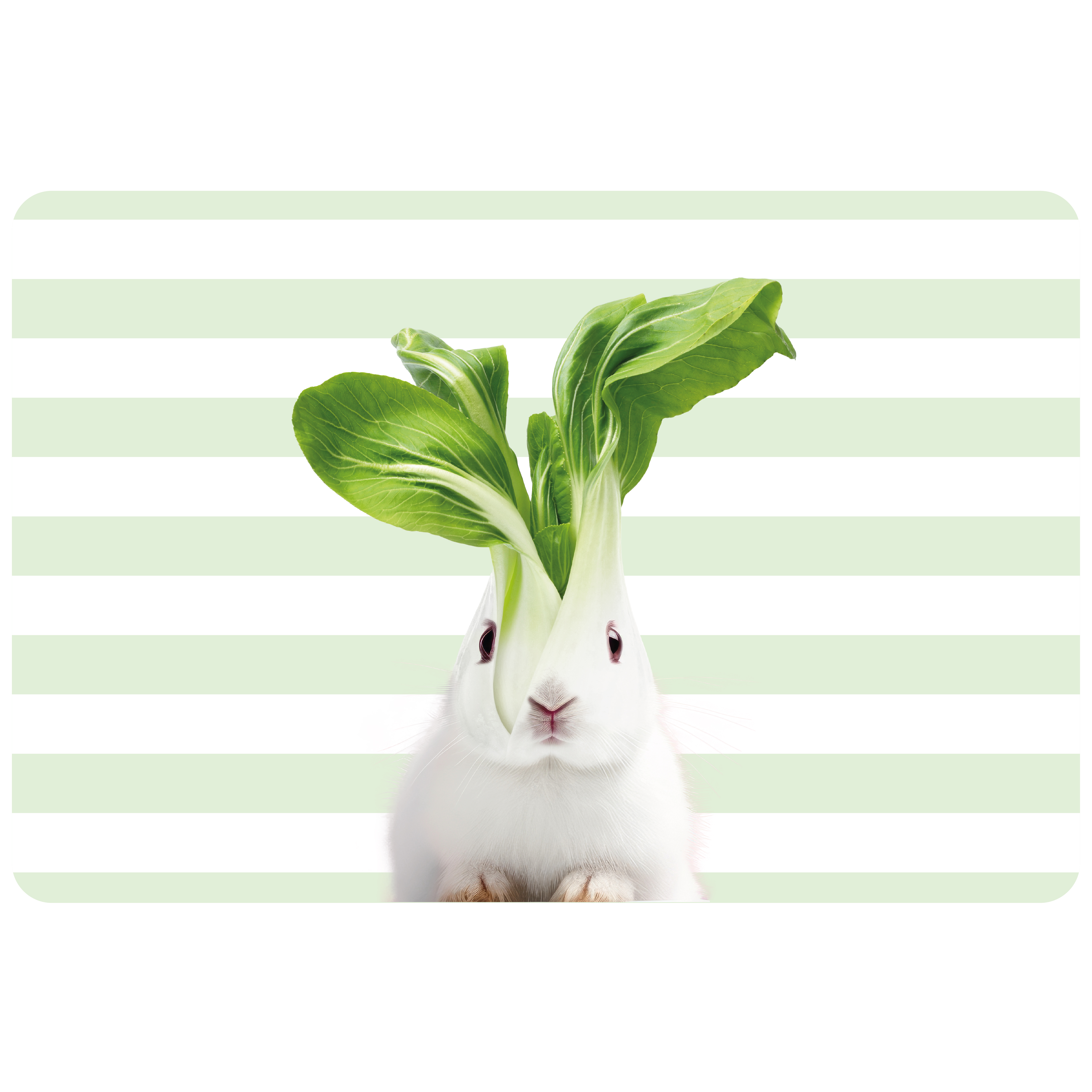Double-sided Pvc Placemat Rabbit Decoration Gift