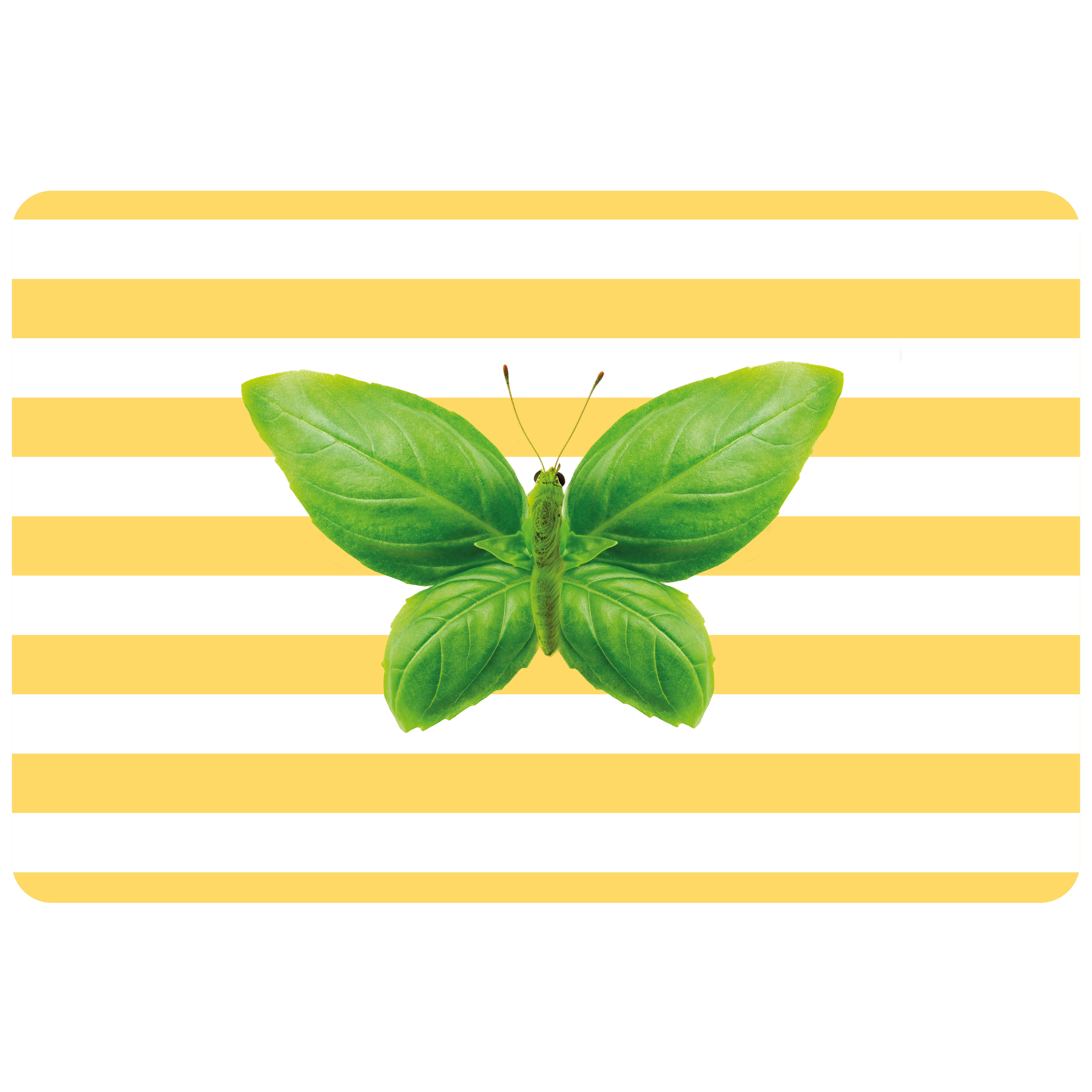 Double-sided Pvc Placemat Butterfly Decoration Gift