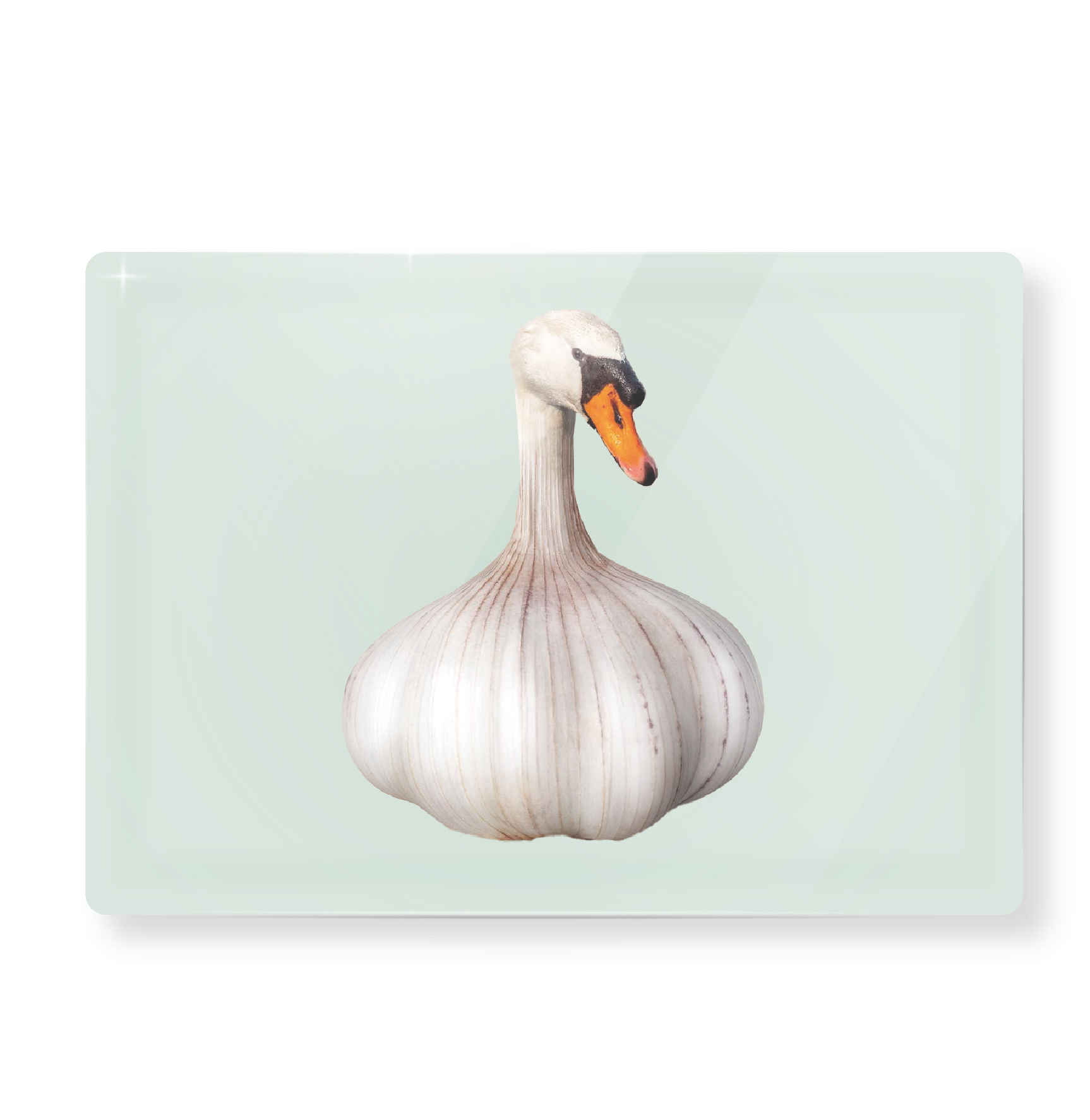 Glass Cutting Board 20x30cm Garlic Decoration Gift