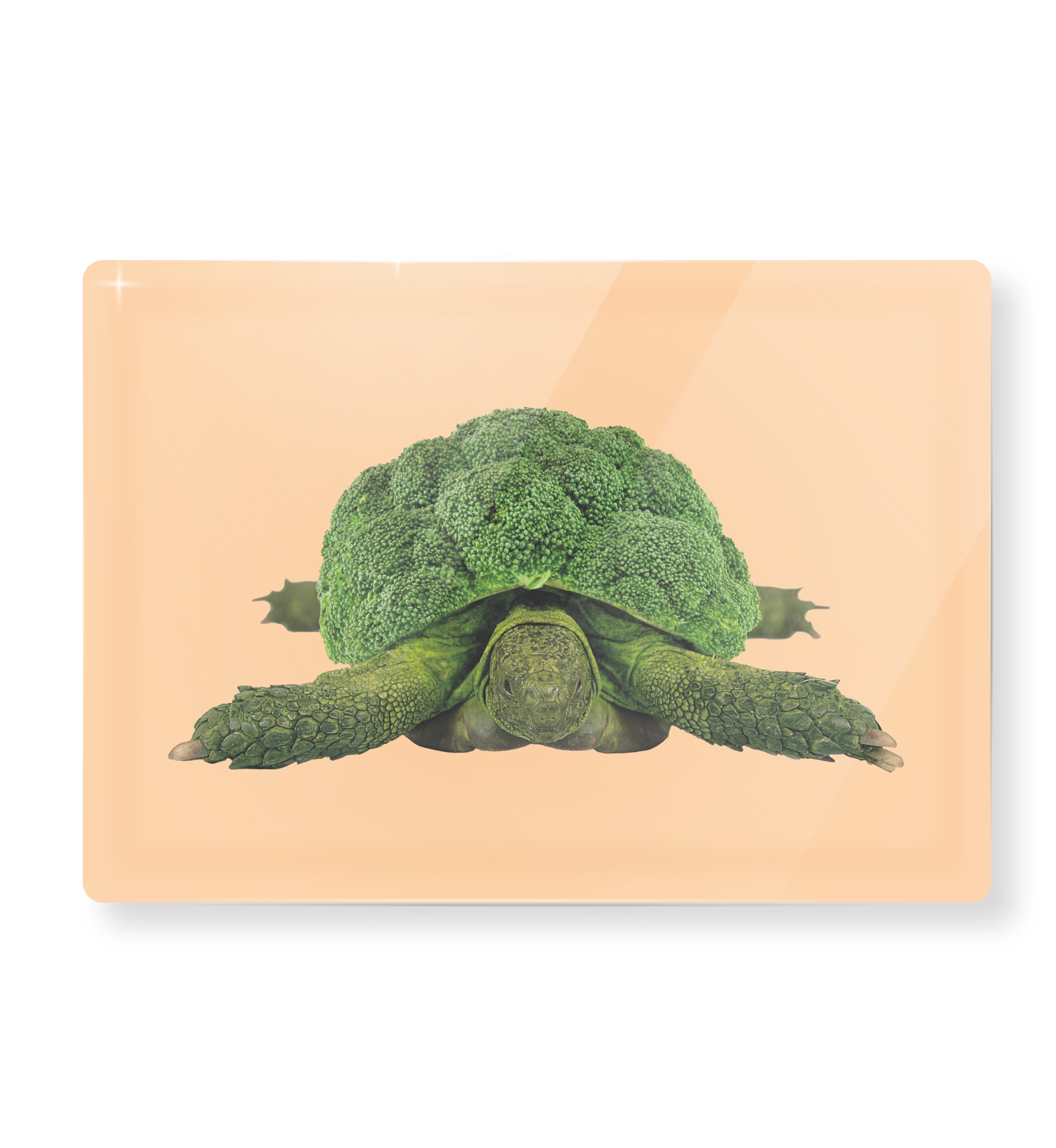 Glass Cutting Board 20x30cm Cauliflower Decoration Gift