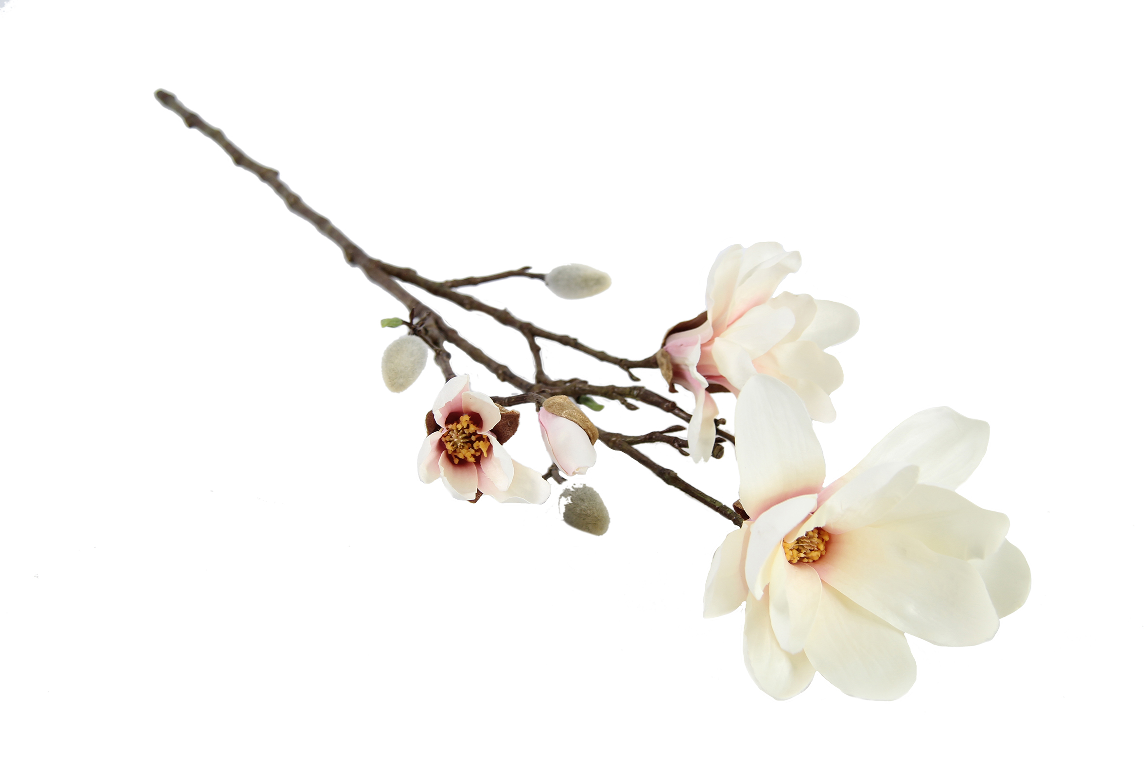 Art Flower Magnolia Spray Chayca M Cream Gift