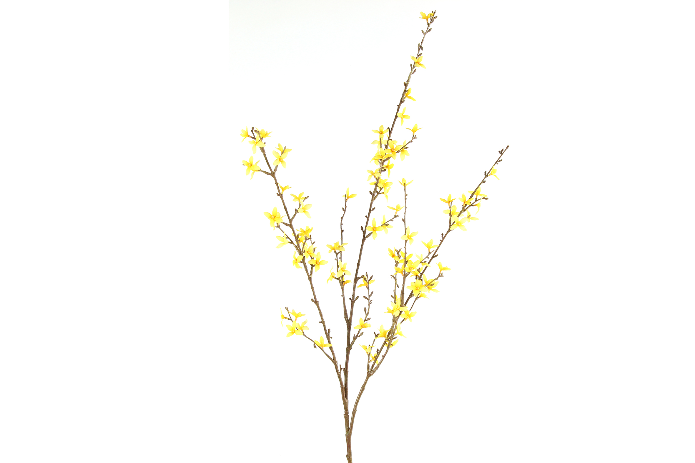 Art Flower Forsythia L Yellow Gift