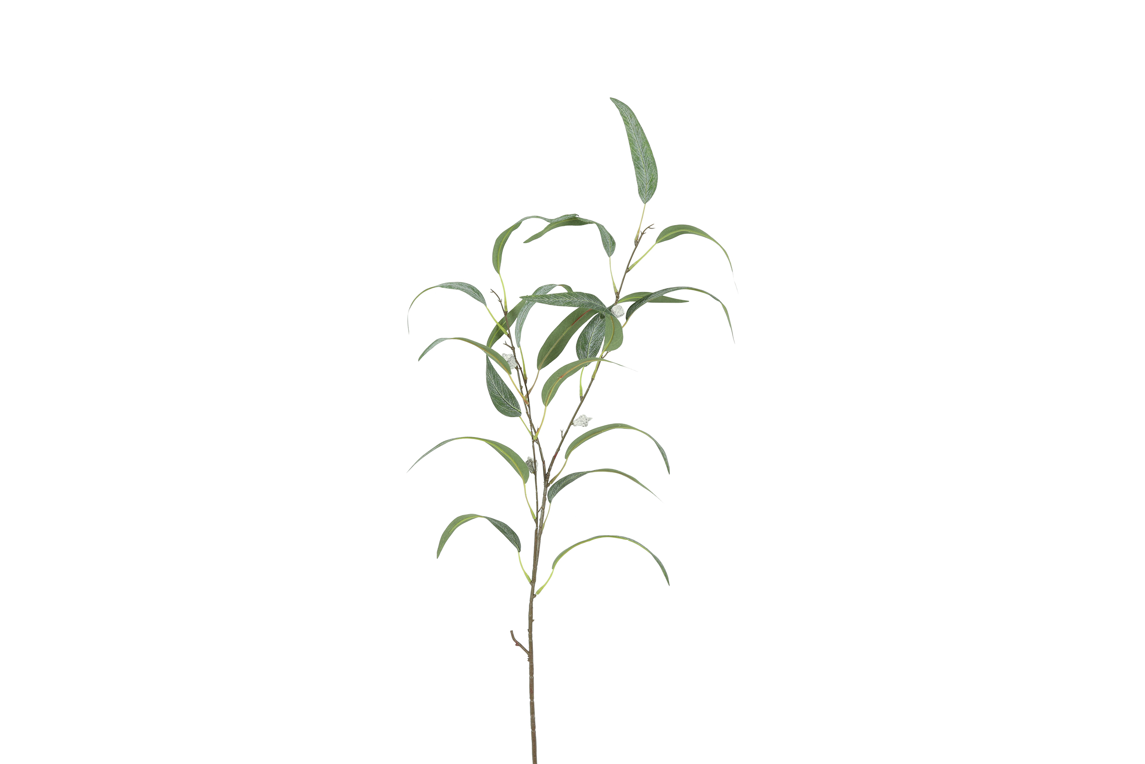 Art Leaf Eucalyptus S White Gift