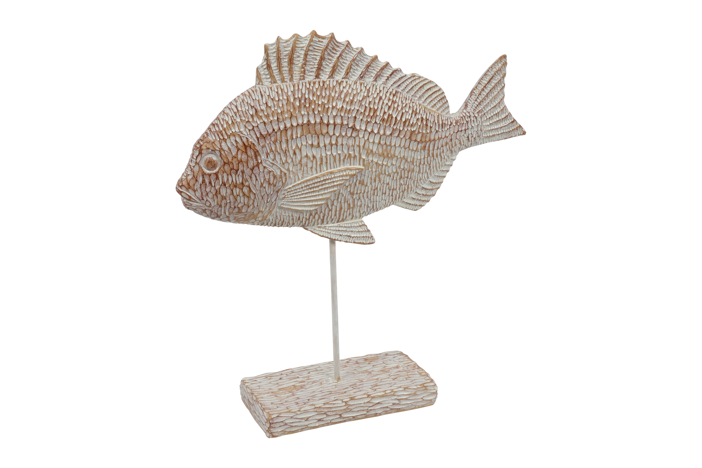 Fish O/feet Grey Gift