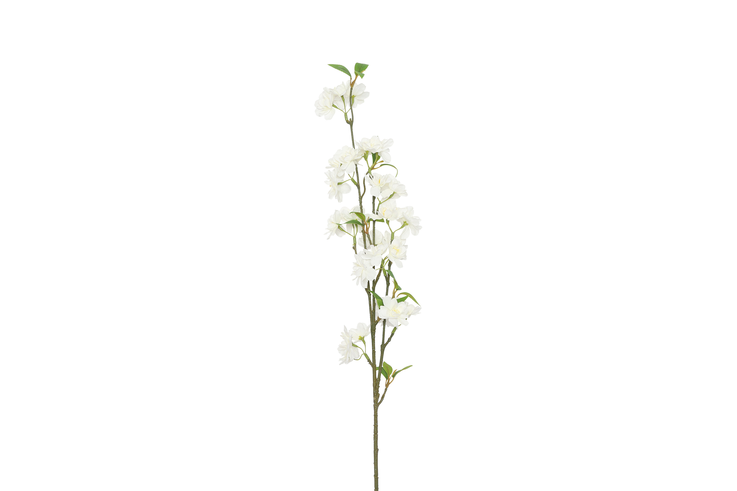 Art Flower Prunus M White Gift