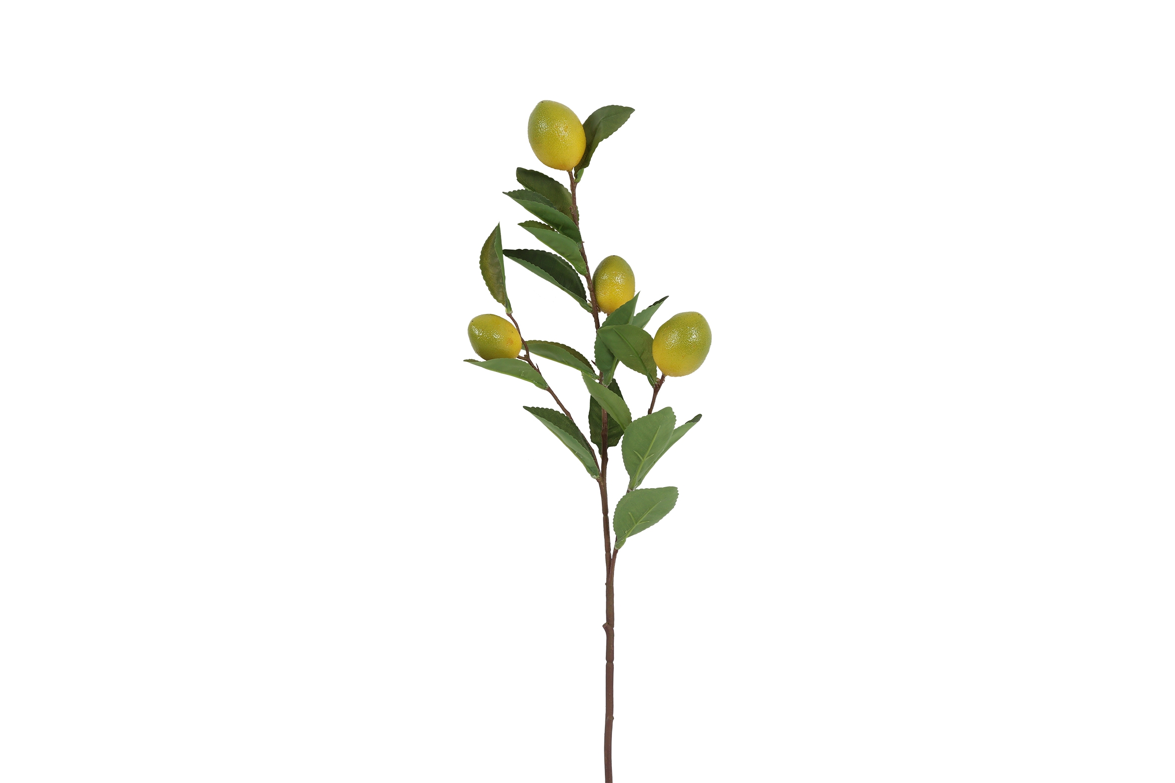 Art Fruit Lemon Yellow Gift