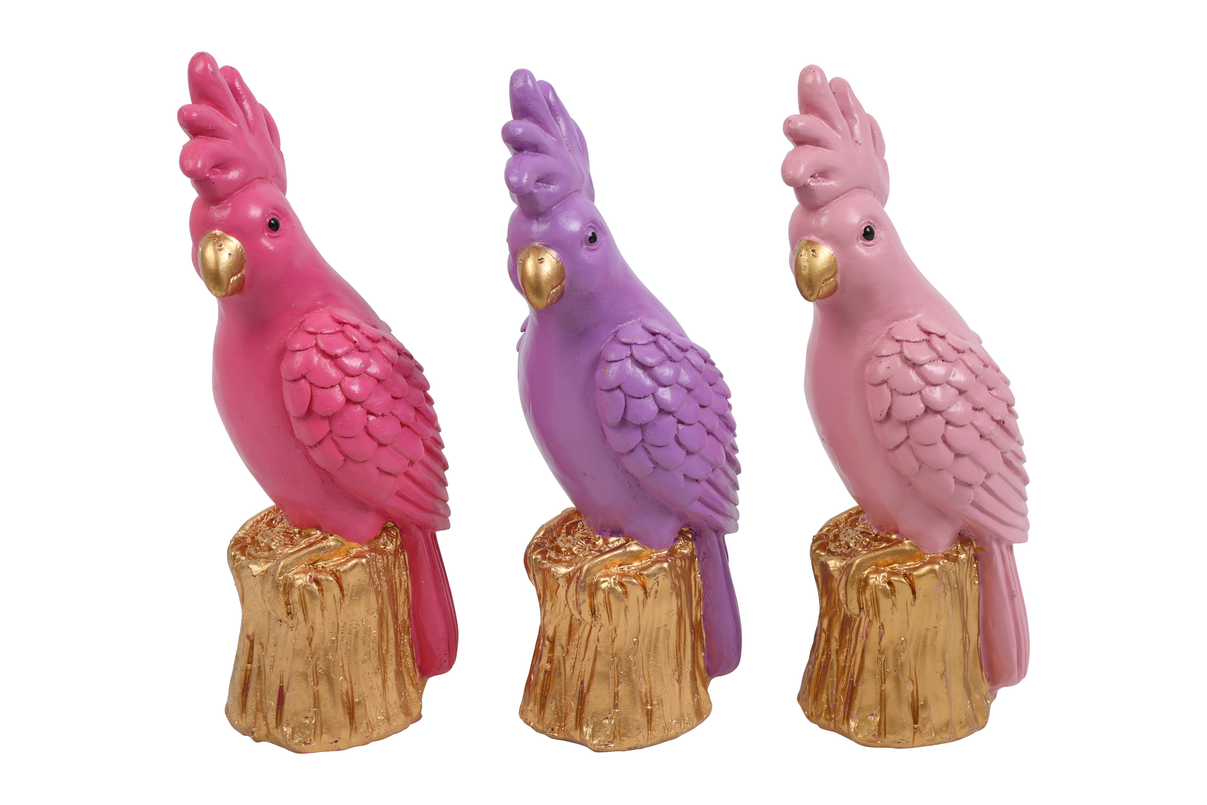 Cockatoo Sasha S 3 Assorted D.pink Purple Pink Gift
