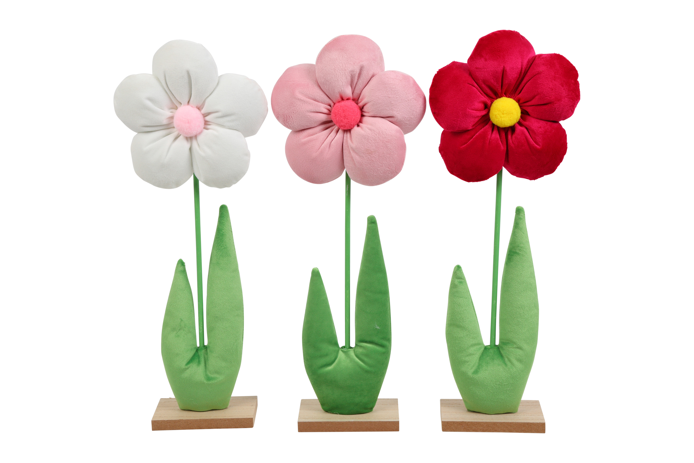 Flower Flo M 3 Assorted White Pink Red Gift