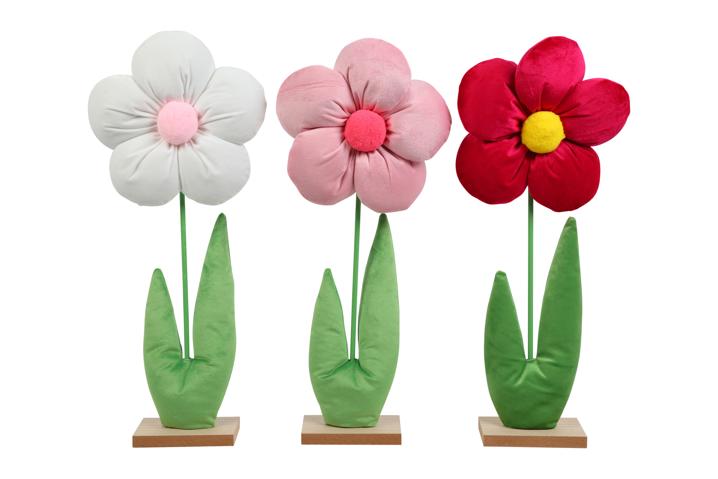 Flower Flo L 3 Assorted White Pink Red Gift