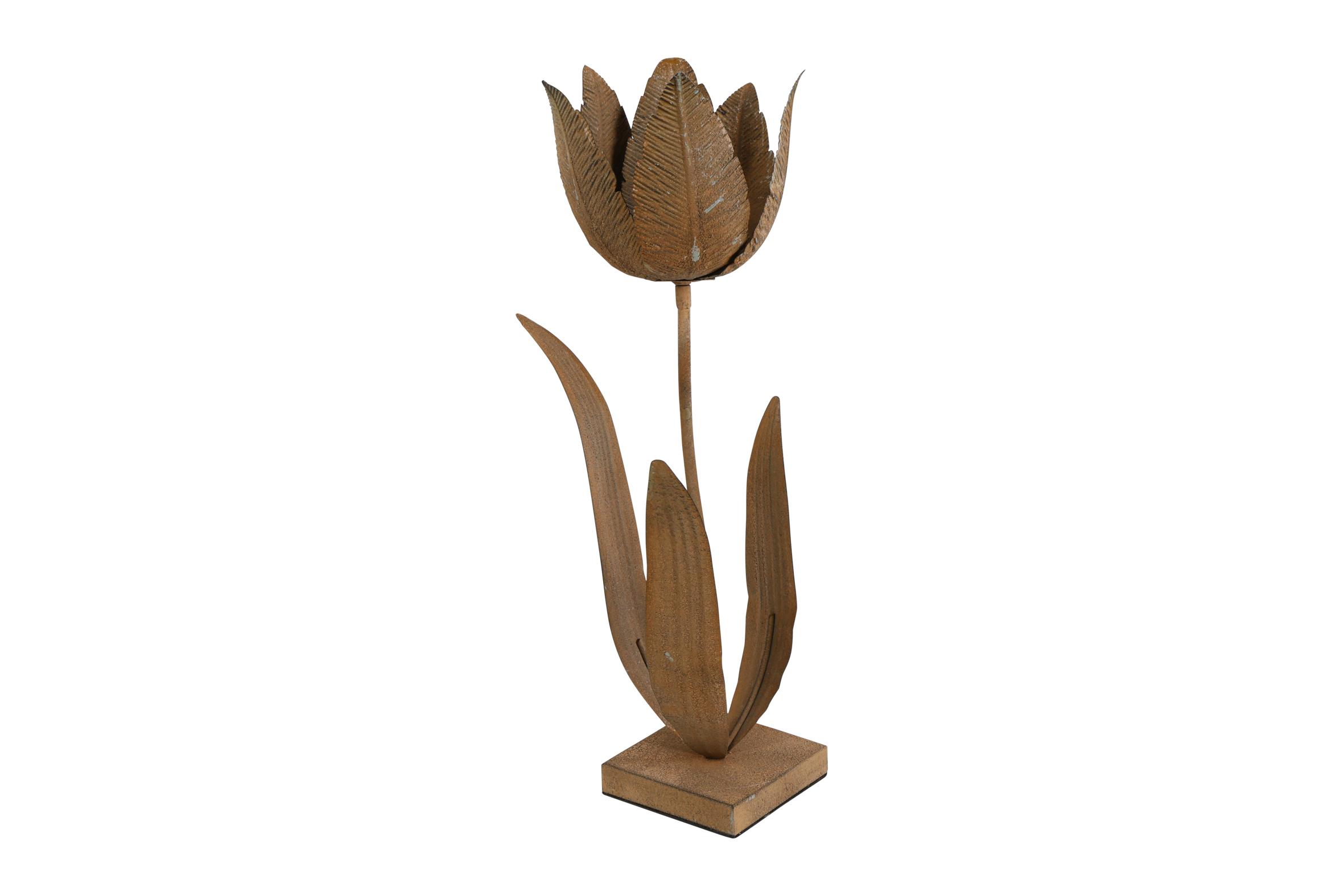 Ornament Rd Tulp Tulipa Praestans S Rusty Gift