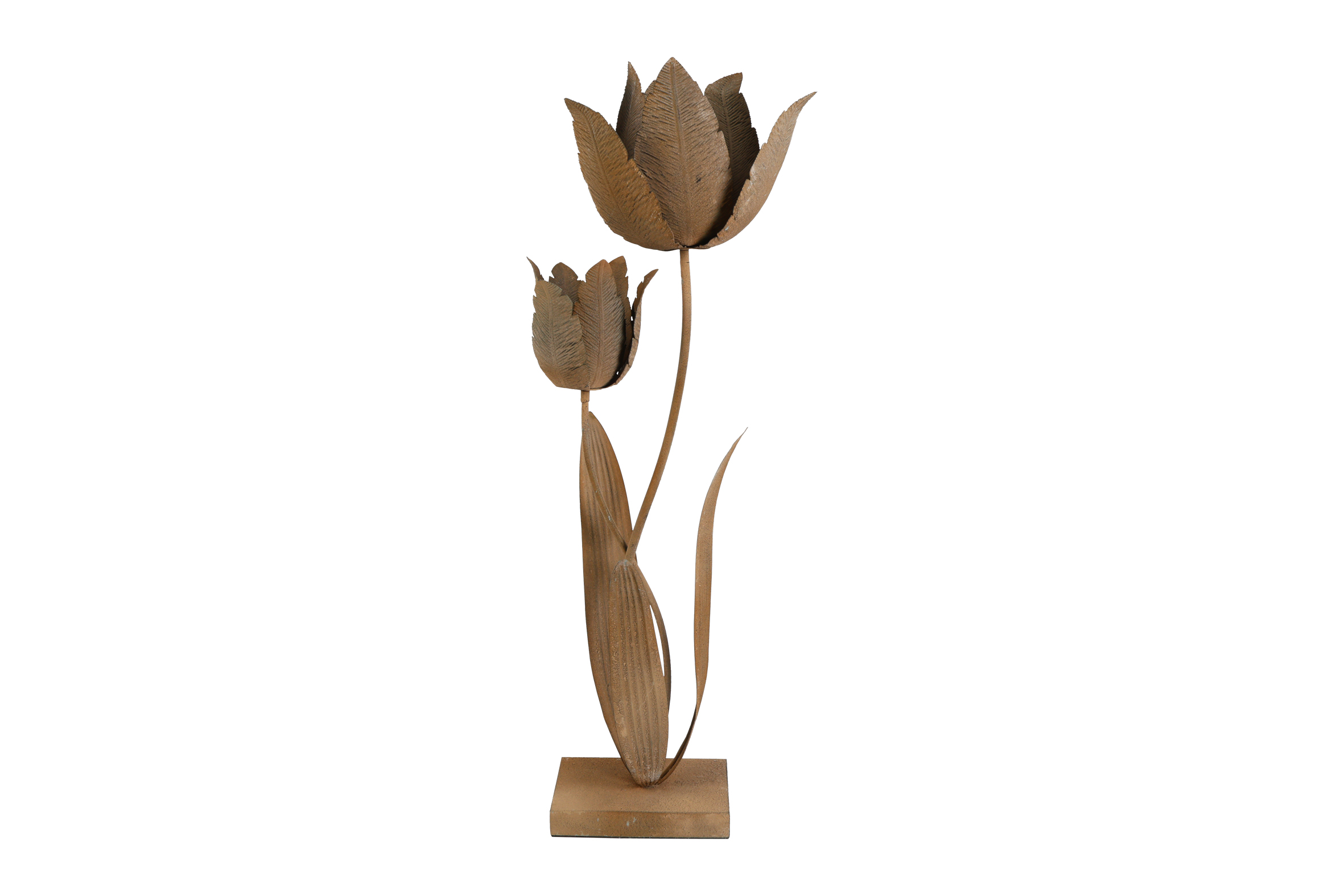 Ornament Rd Tulp Tulipa Praestans L Rusty Gift