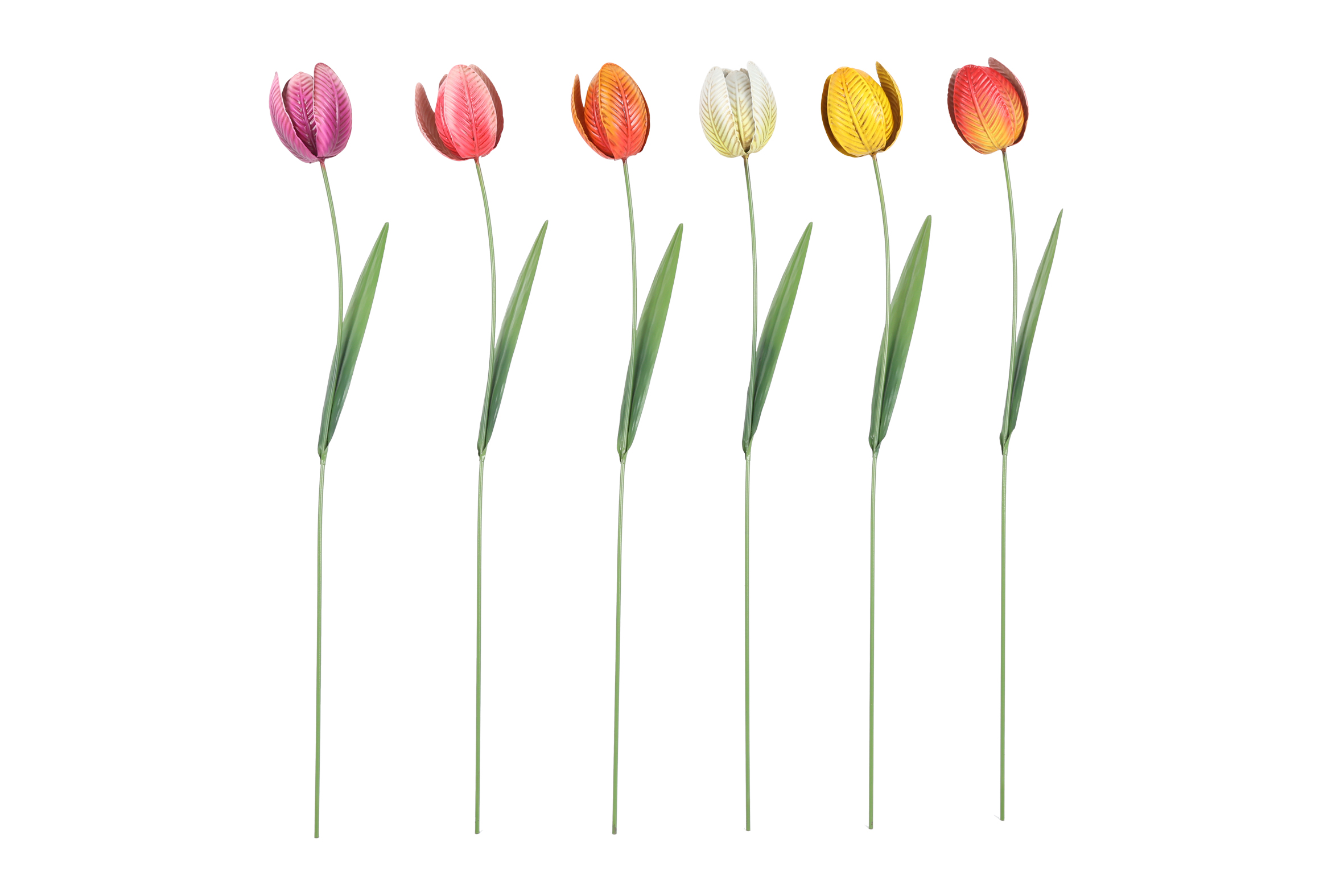 Gardenstick Tulp Tulipa 6 Assorted Multicolor Gift