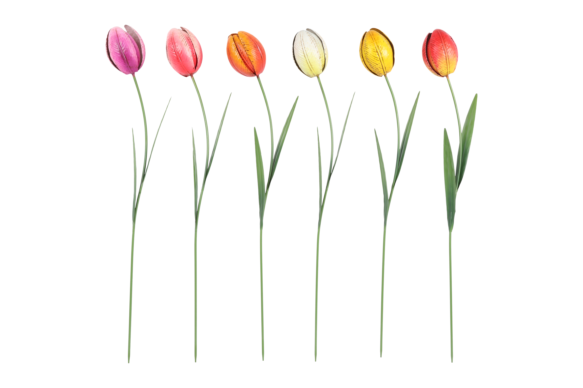Gardenstick Tulp Tulipa 6 Assorted Multicolor Gift