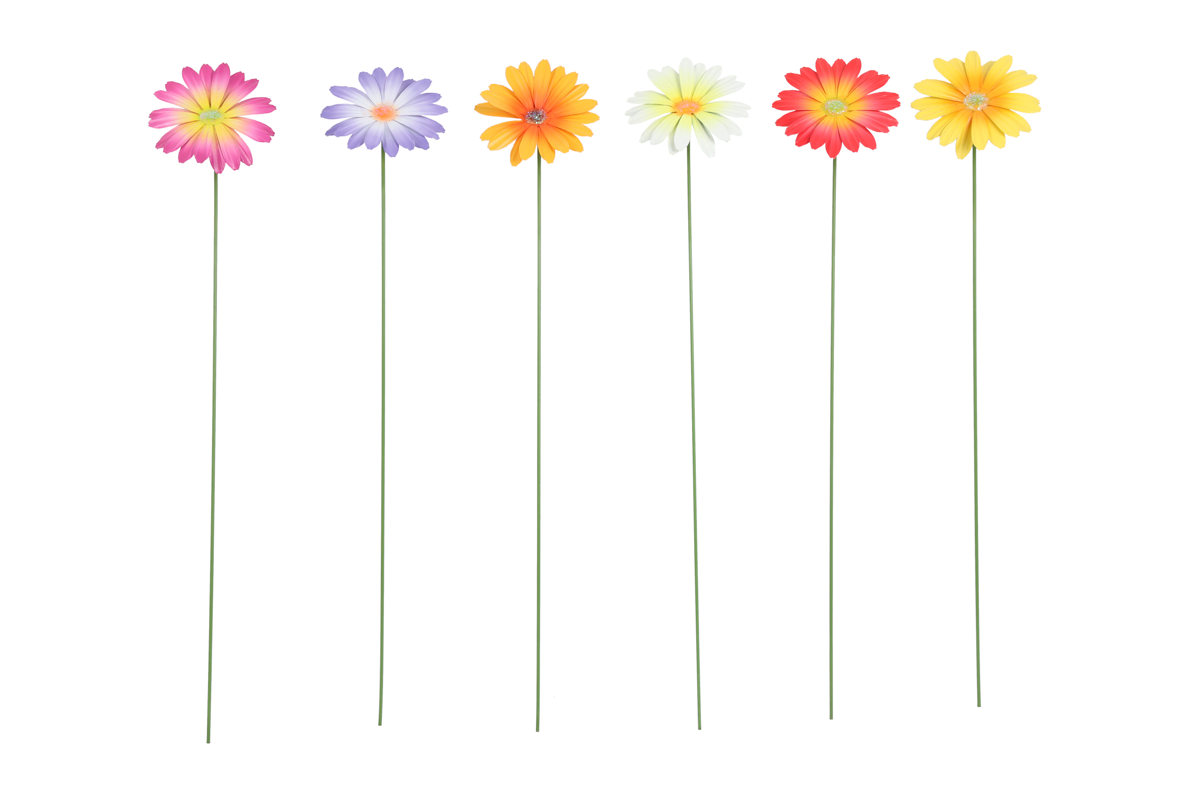 Gardenstick Daisy 6 Assorted Multicolor Gift