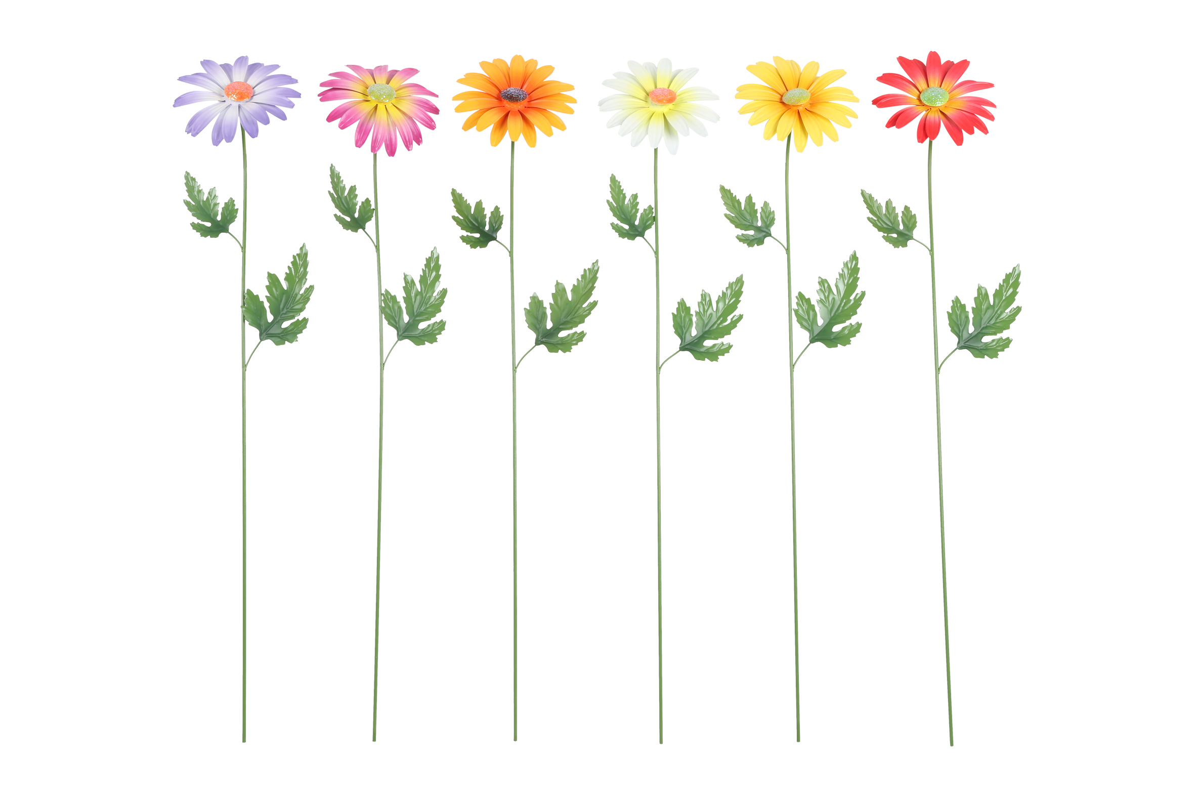 Gardenstick Daisy 6 Assorted Multicolor Gift