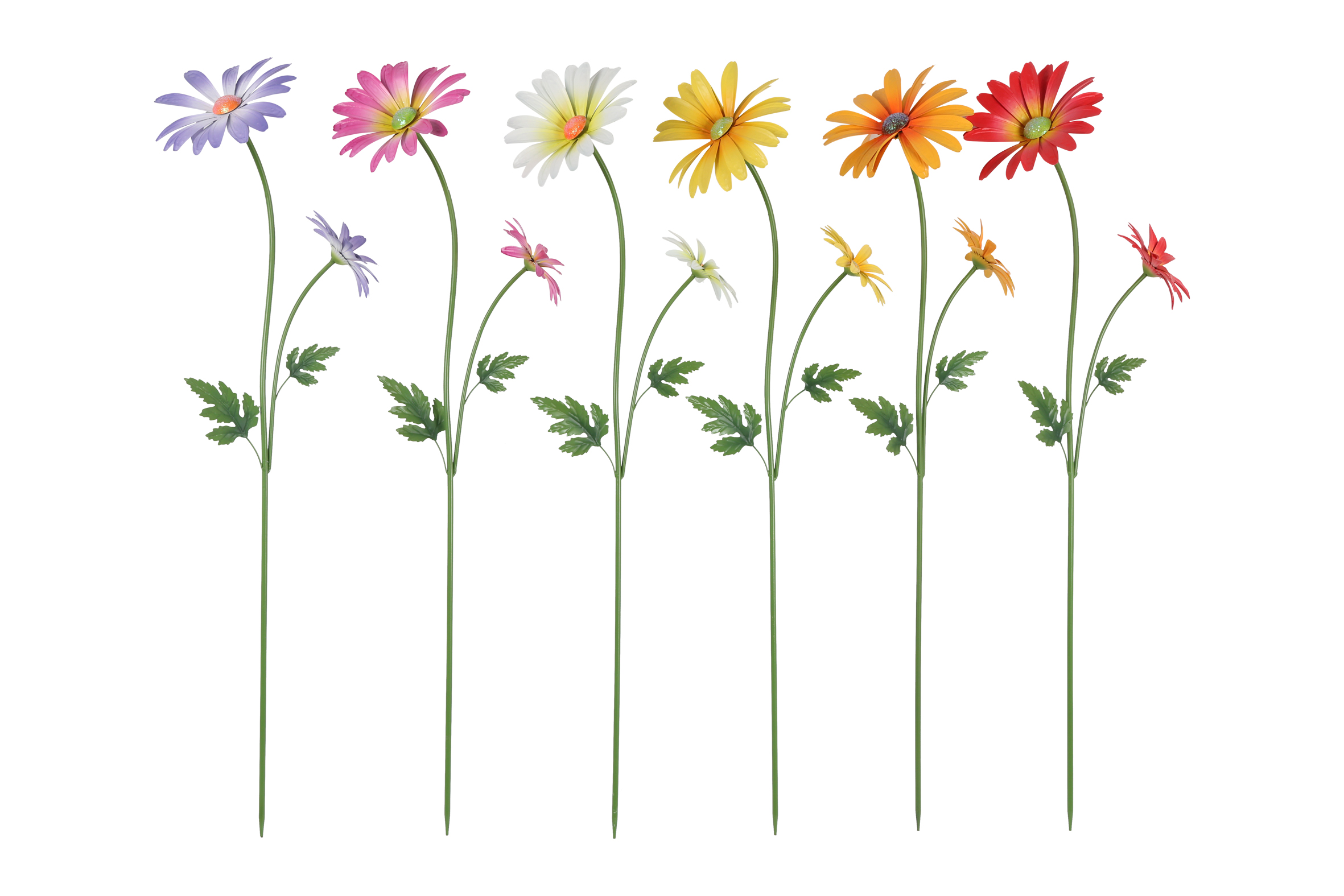 Gardenstick Daisy 6 Assorted Multicolor Gift