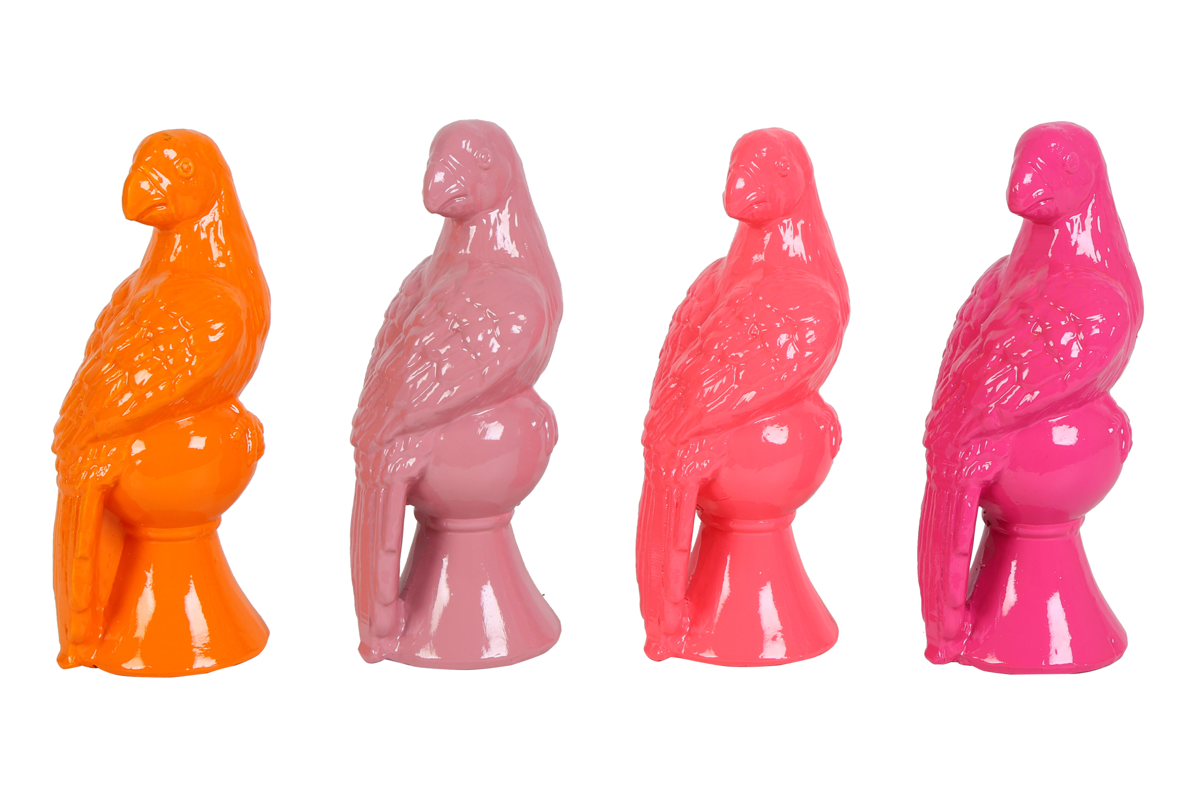 Parrot Lotta 4 Assorted D.pink/orange/pink/purple Gift