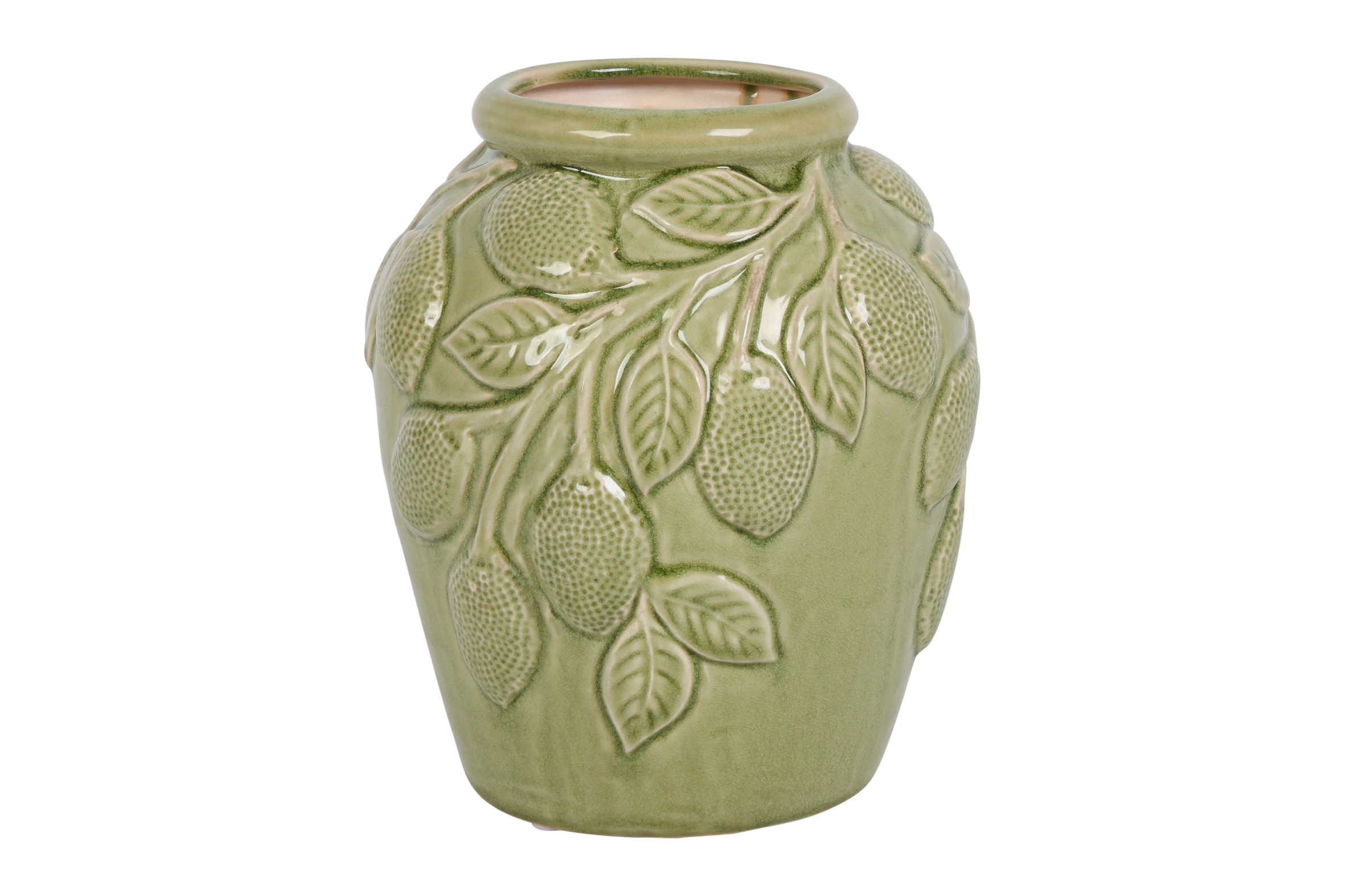 Flowerpot W/lime Rd Fabio M D.green Gift