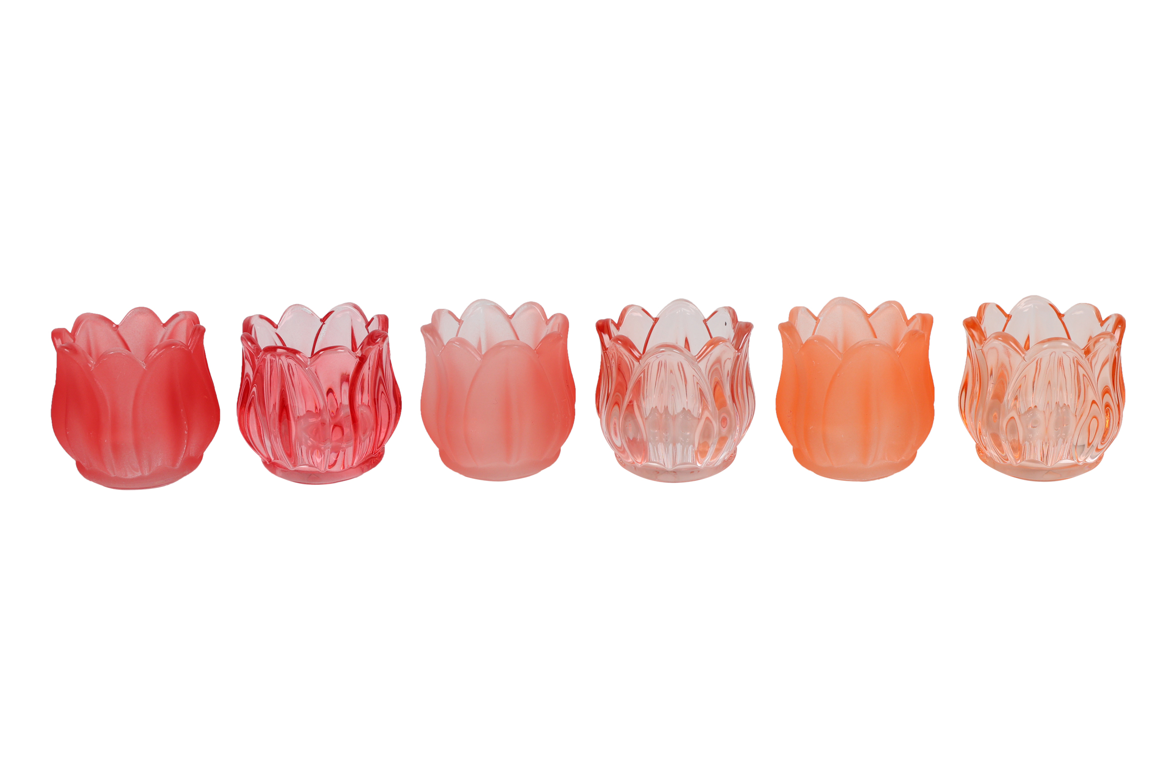 Candle Holder Tulip 6 Assorted Multicolor Gift