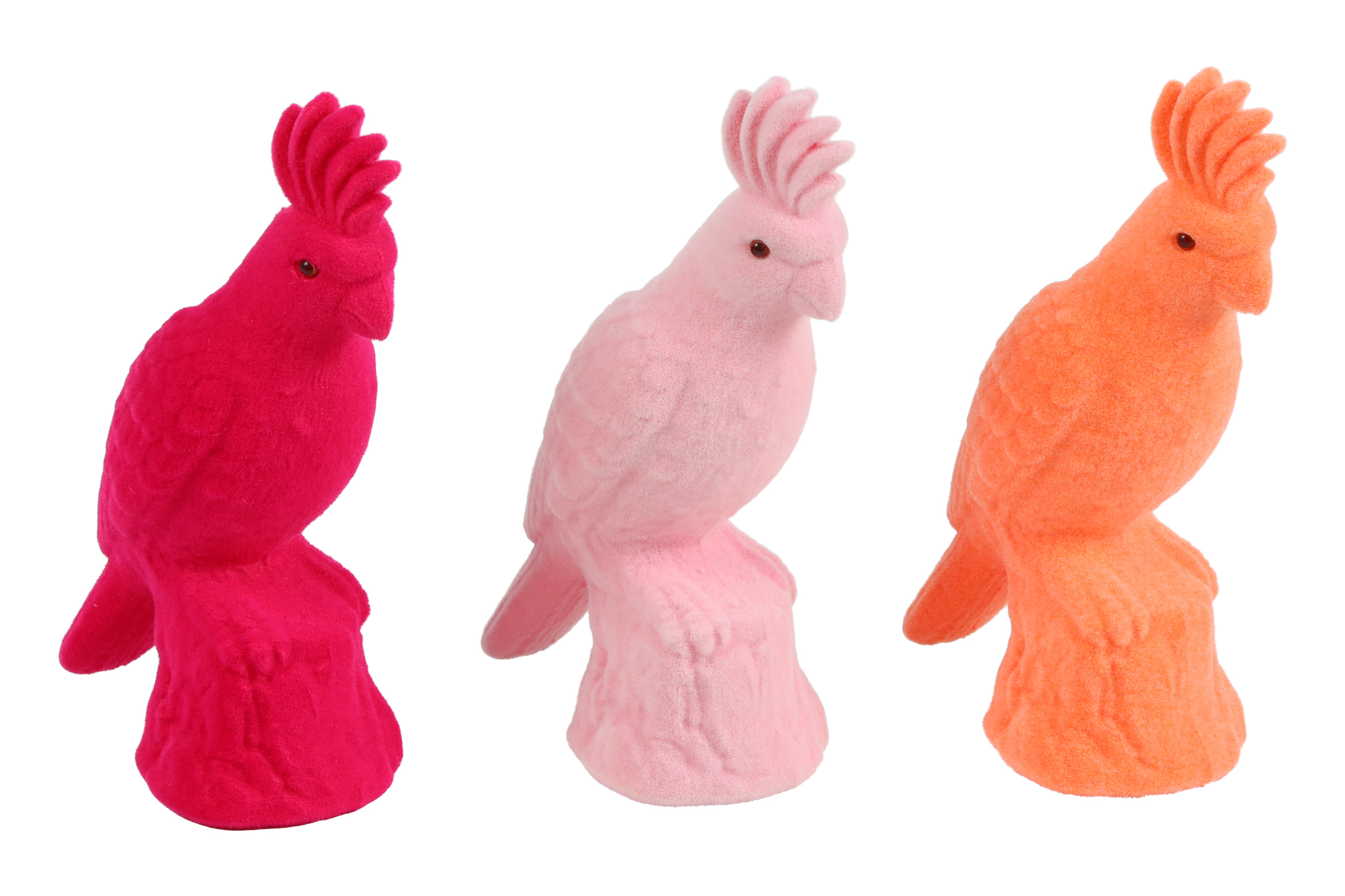 Flocked Kaketoe S 3 Assorted Multicolor Gift