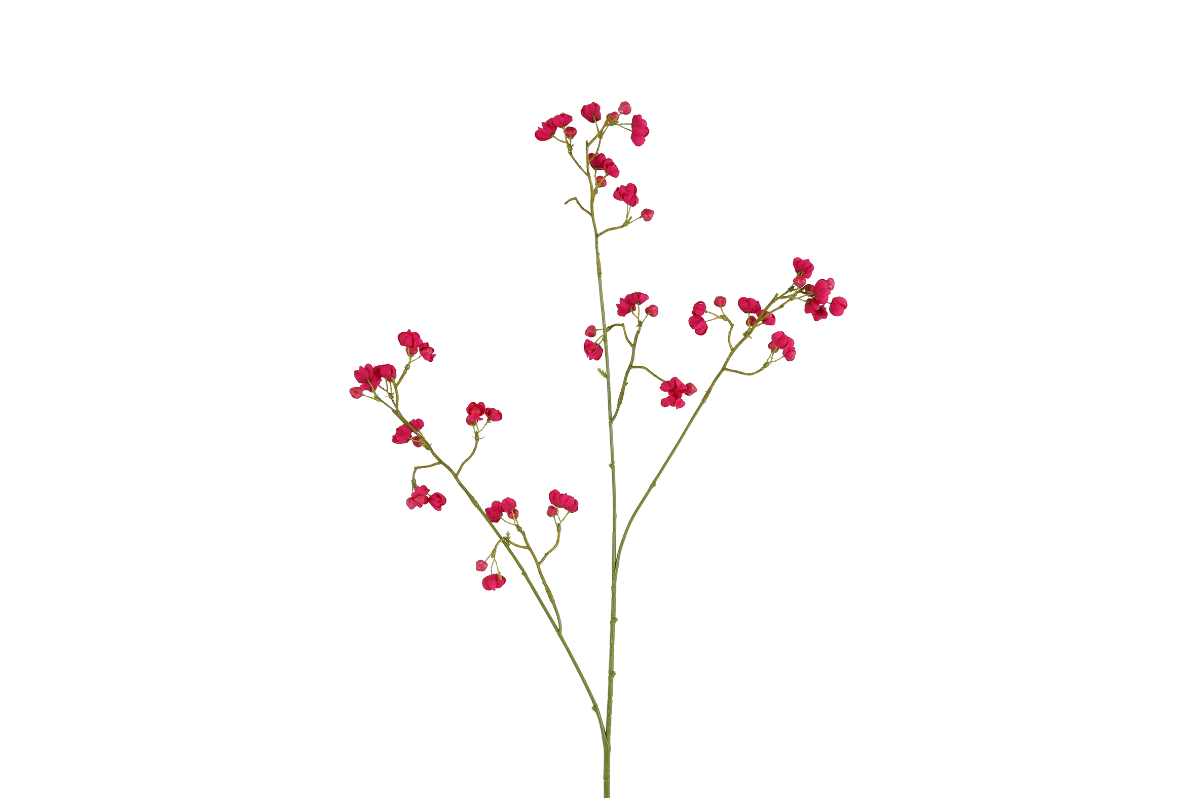 Art Flower Gypsophila Red Gift