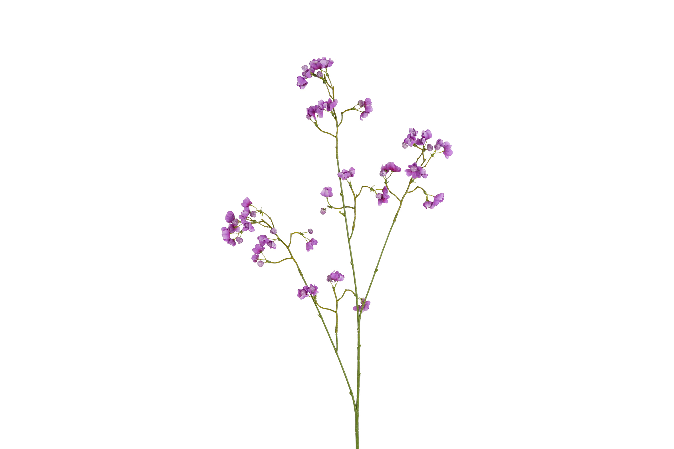 Art Flower Gypsophila Purple Gift