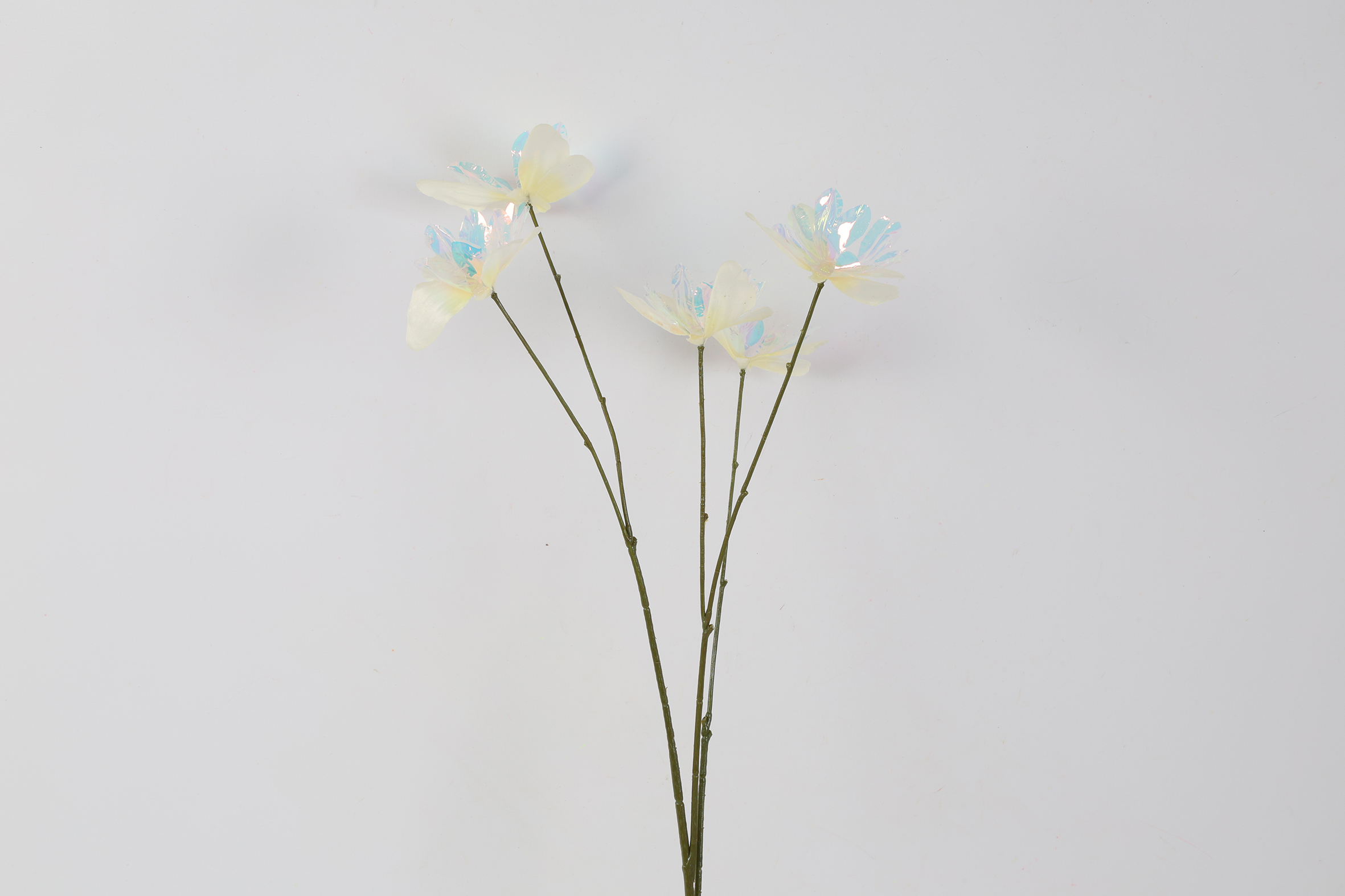 Art Deco Butterfly Iriserend CrÃˆme Gift