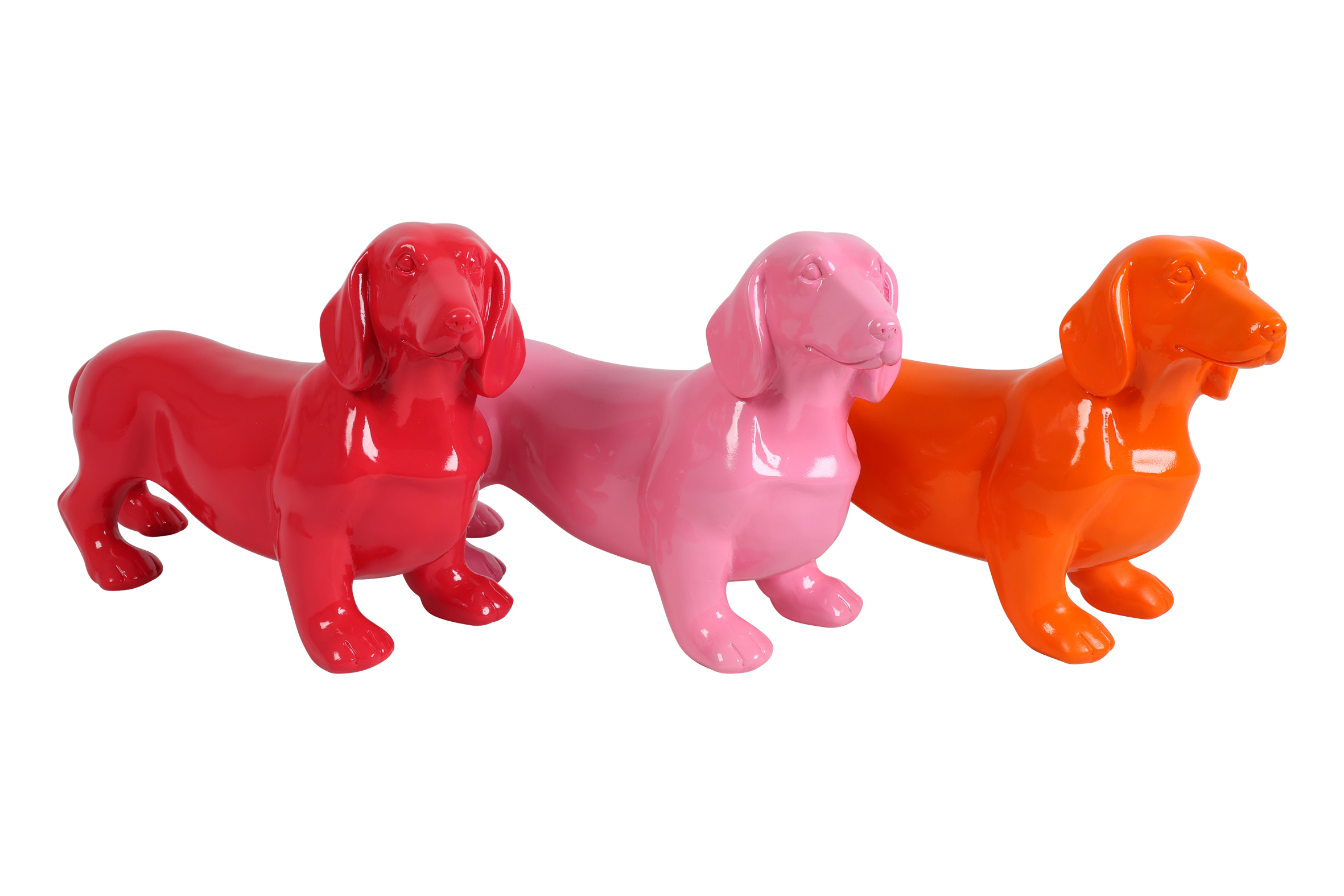 Dachshund Bico 3 Assorted Orange/fuchsia/pink Gift