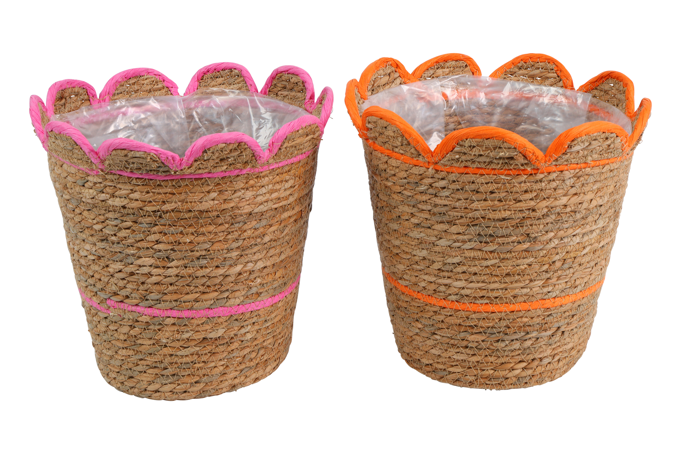 Flowerpot Rd Jade L 2 Assorted Fuchsia Orange Gift