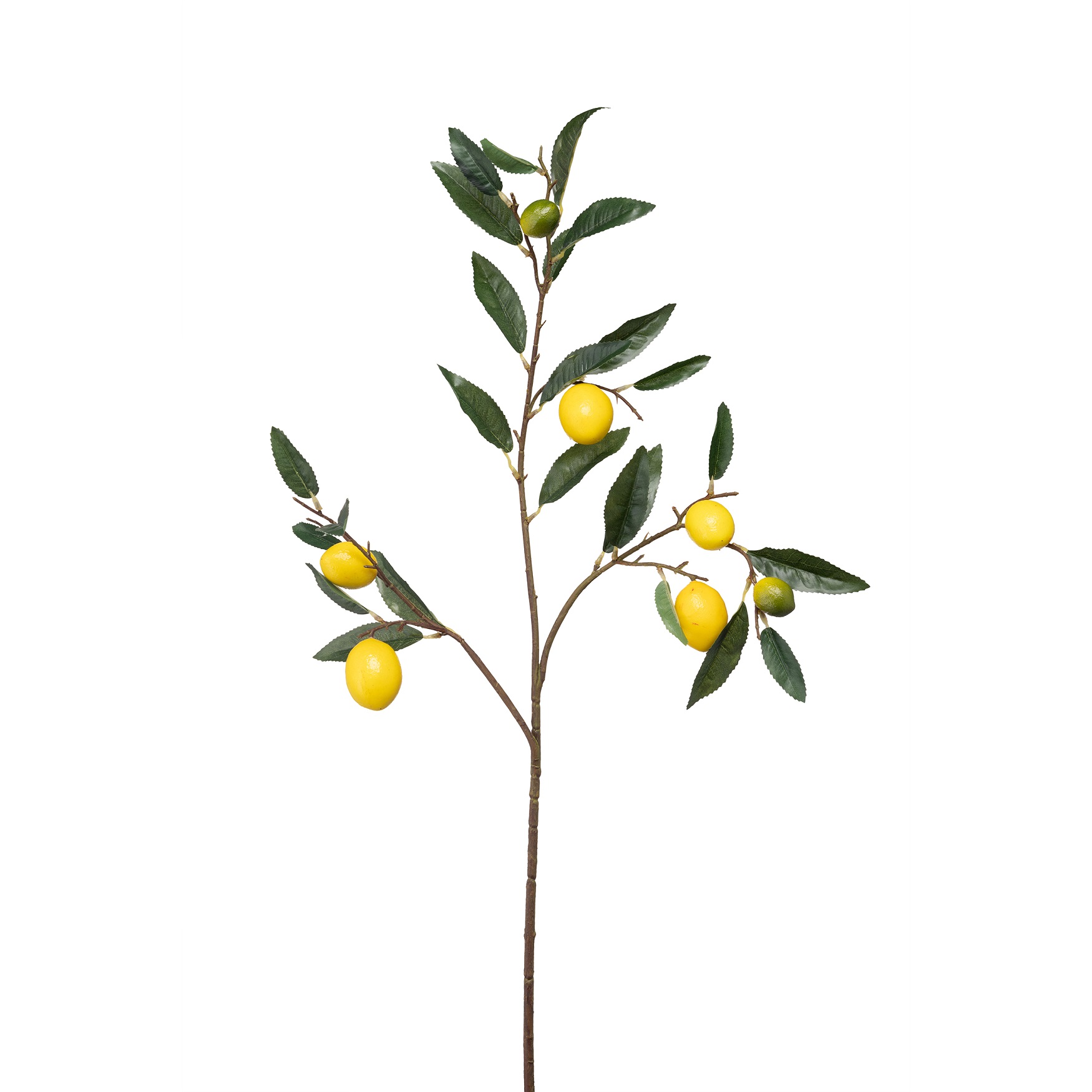 Fiorile Lemon Branch Gift