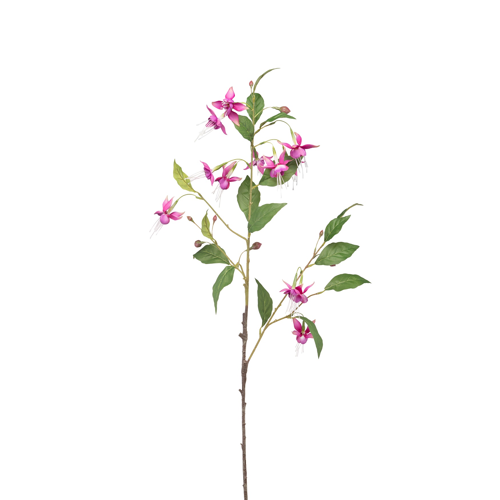 Fiorile Fuchsia Dark Pink Gift