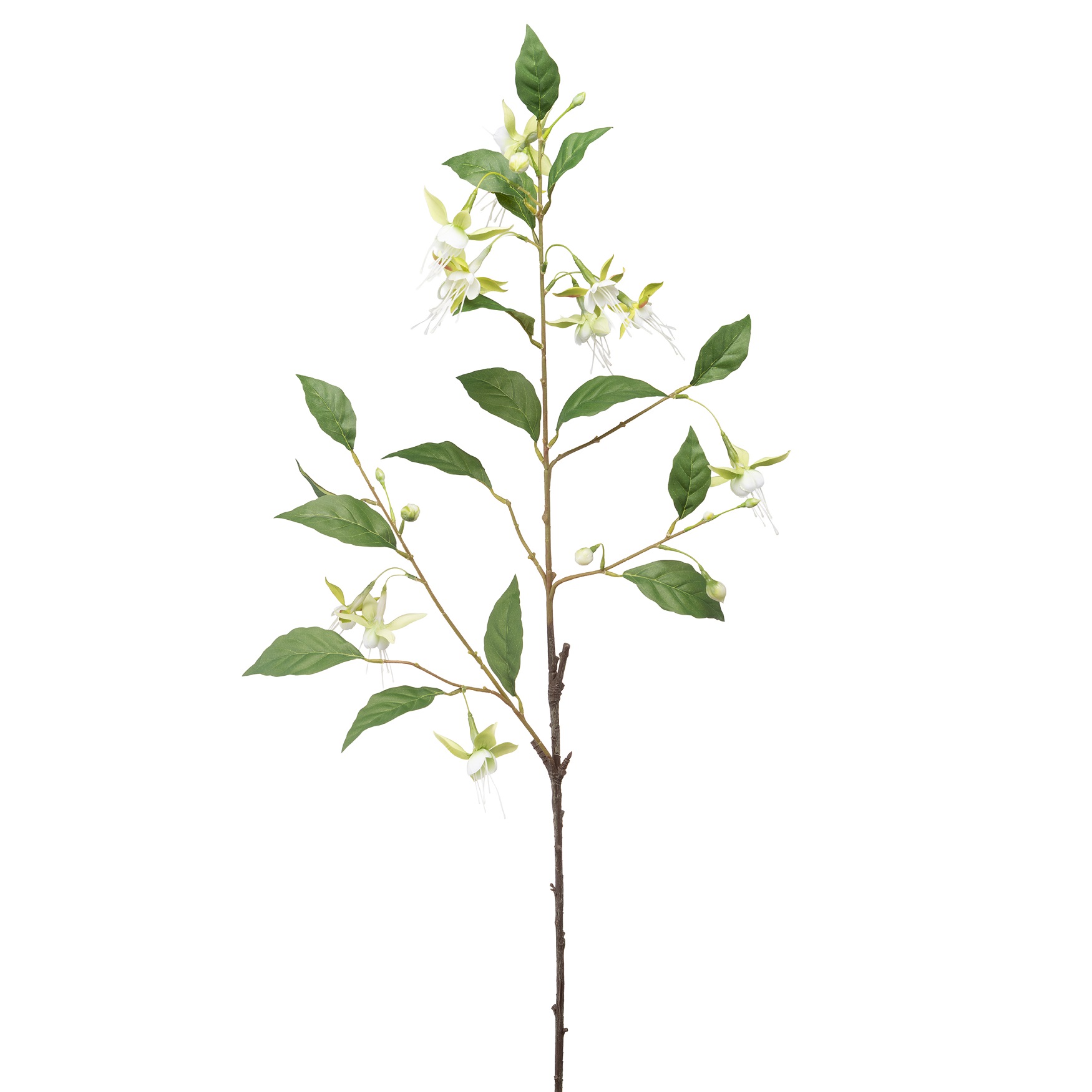 Fiorile Fuchsia Lime Gift