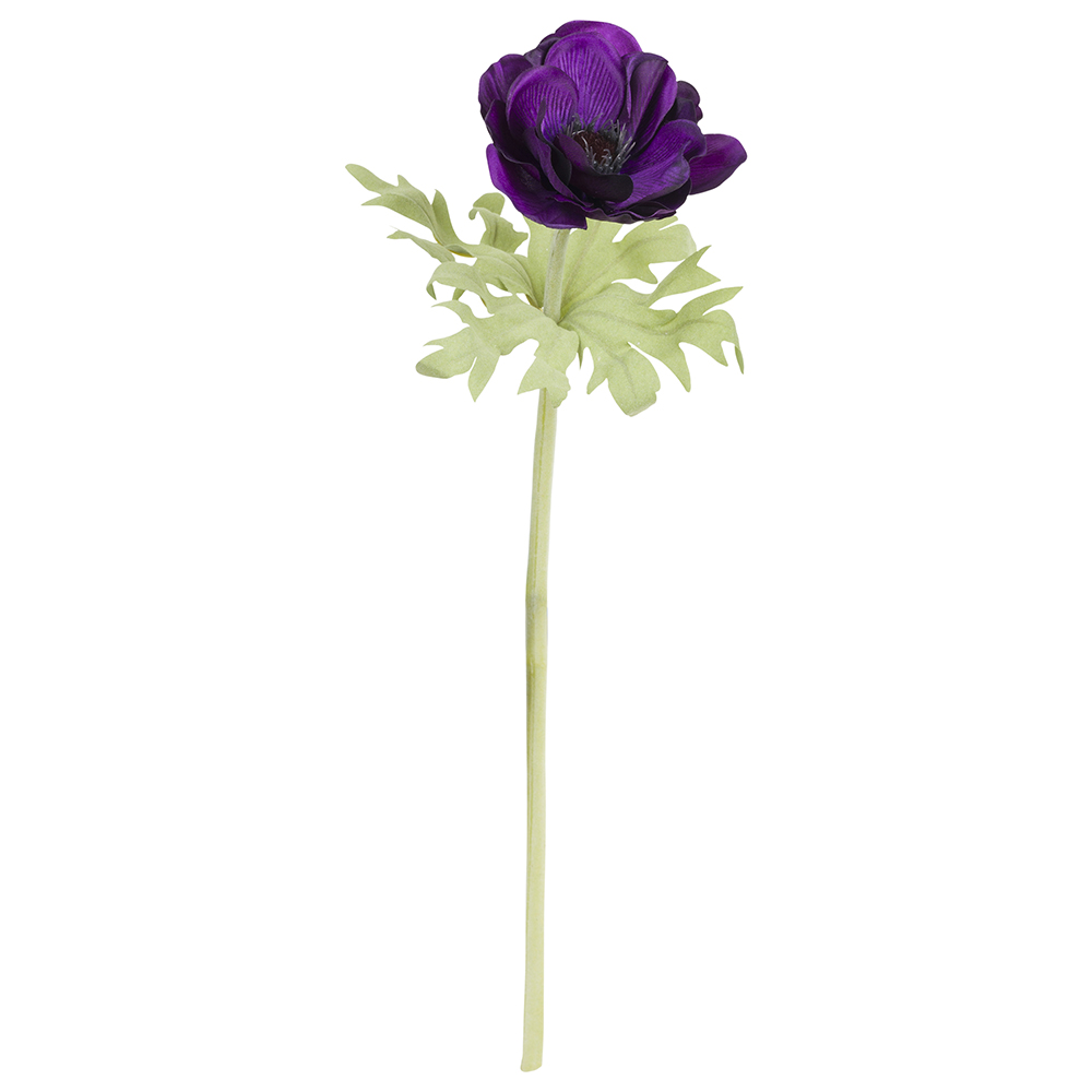 Fiorile Purple Anemone Gift