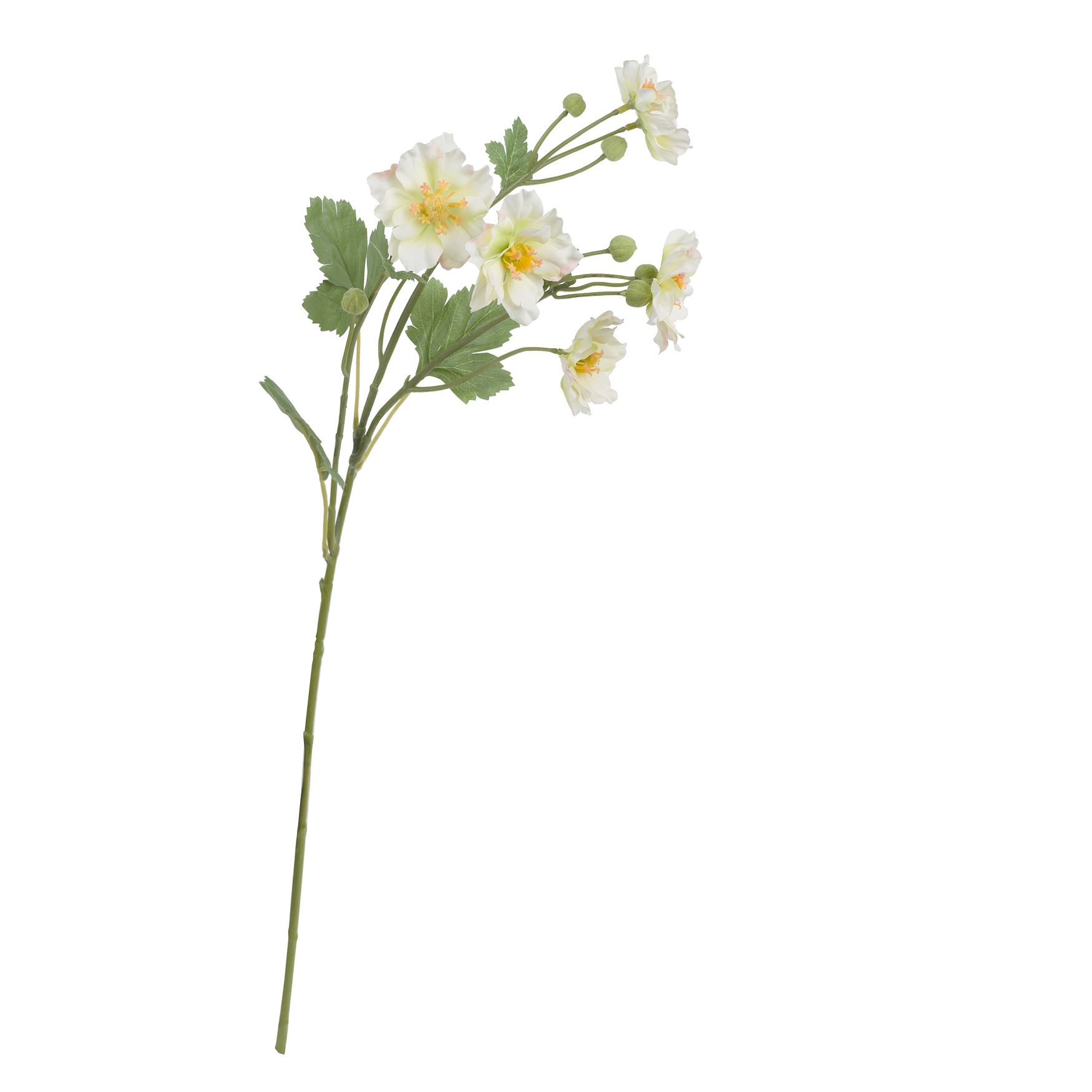 Fiorile White Butterfly Anemone Gift