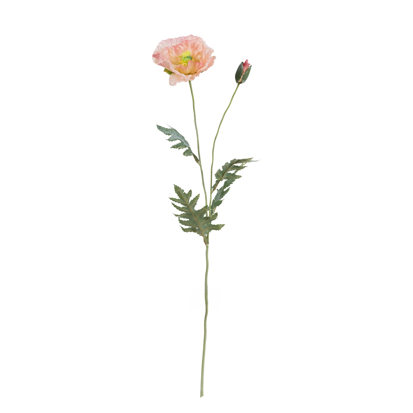 Fiorile Pink Poppy Gift
