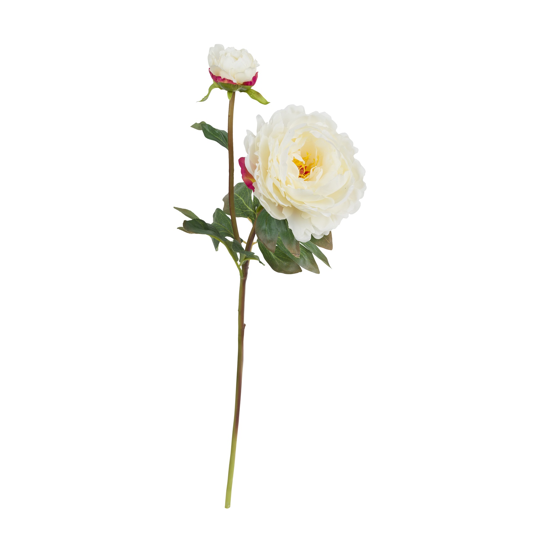 Fiorile White Peony Gift
