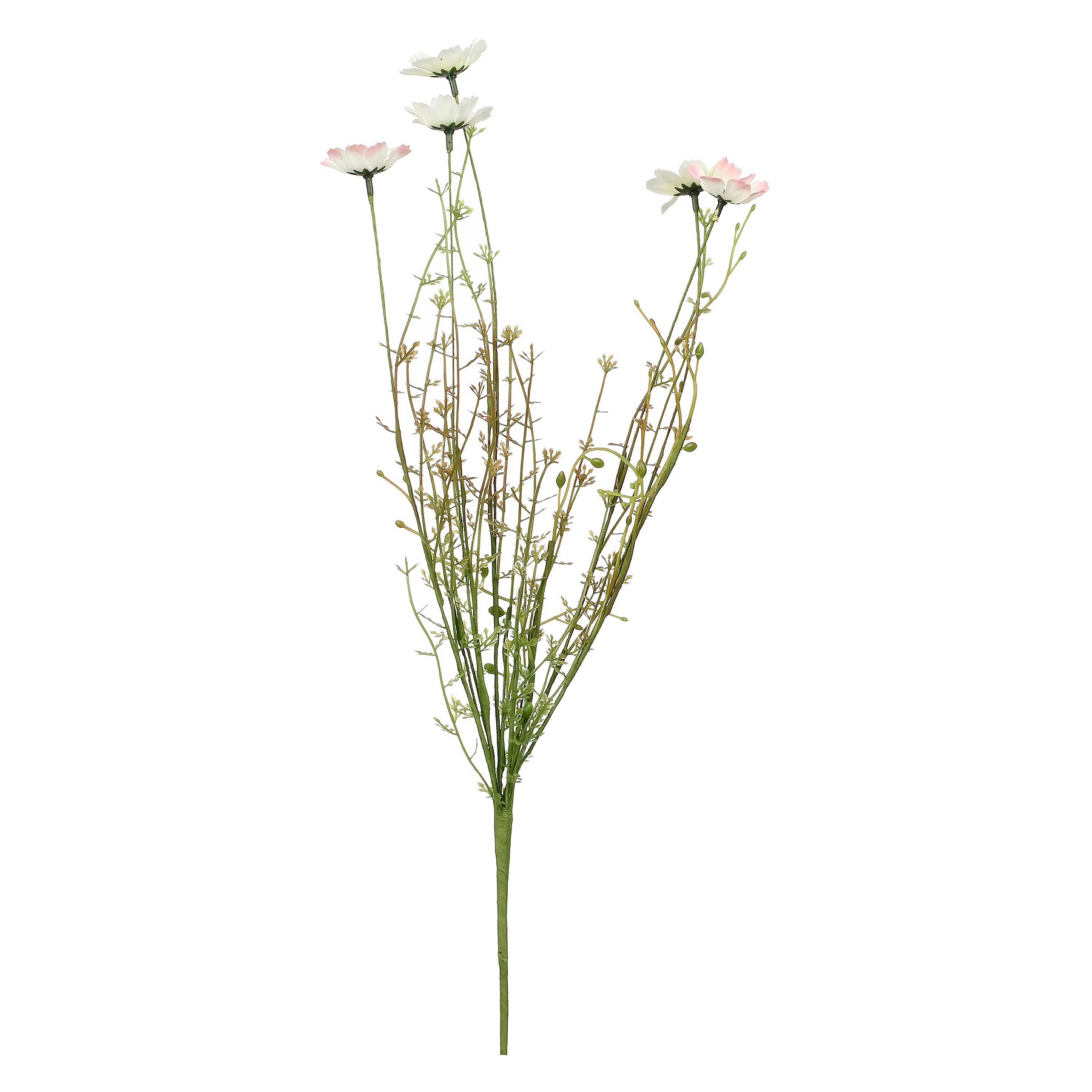 Quelmazzolindifiori Pink And White Daisi Gift