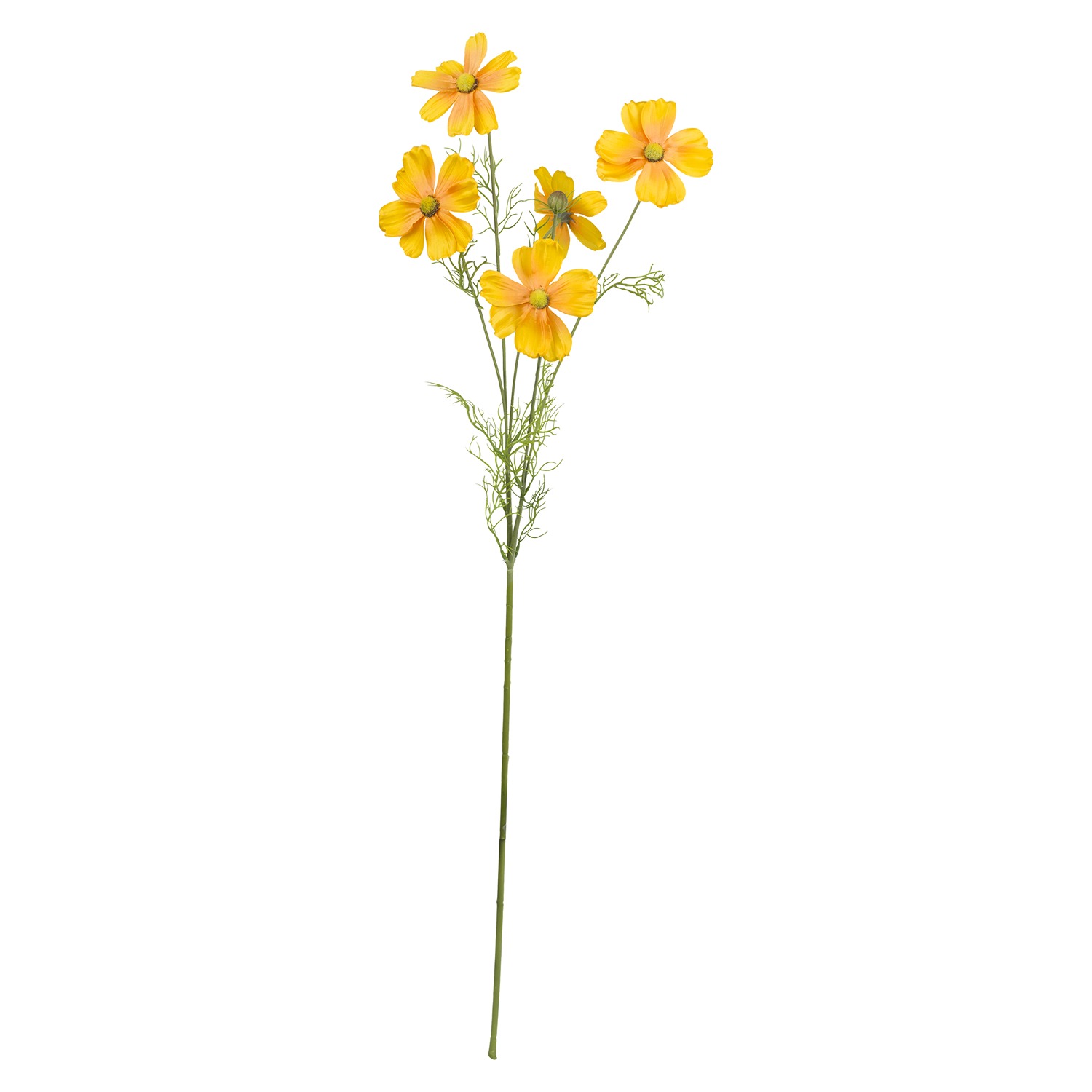 Fiorile Cosmea Yellow Branch Gift