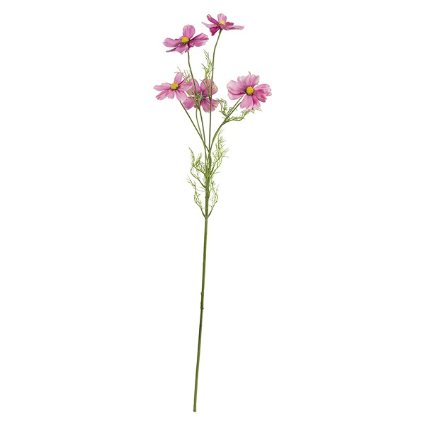 Fiorile Cosmea Pink Branch Gift