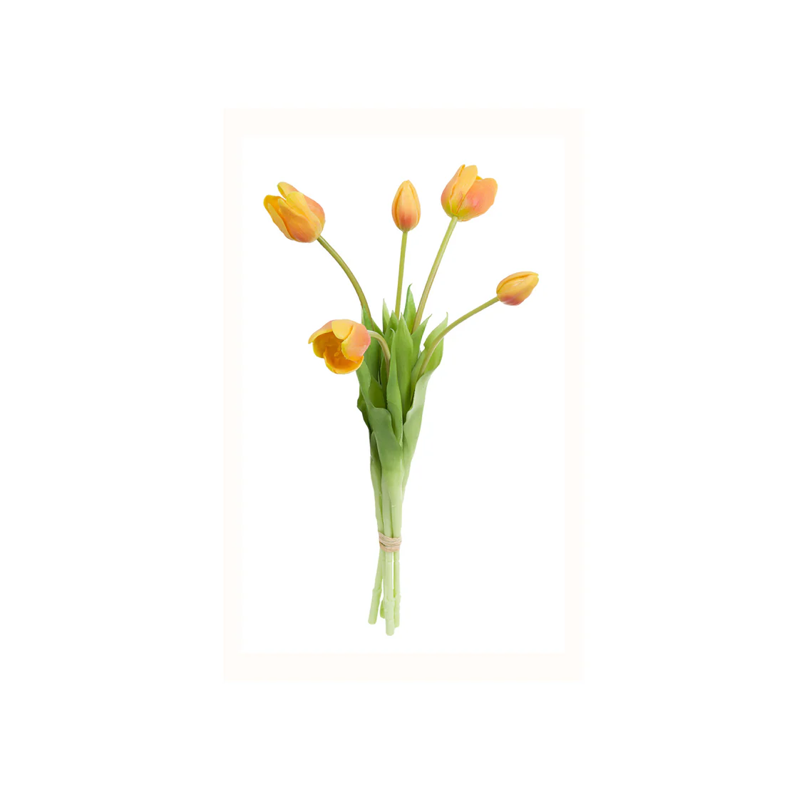 Stefania 5 Orange Tulips Bouquet 30 Cm Gift