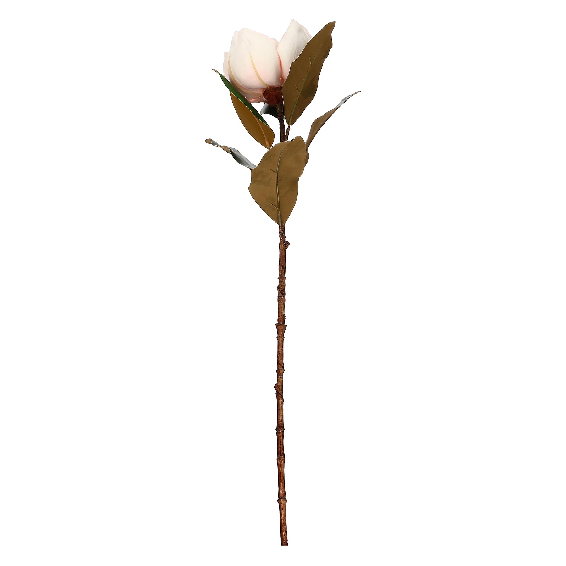 Maggie Pink Magnolia 1 Flower Gift