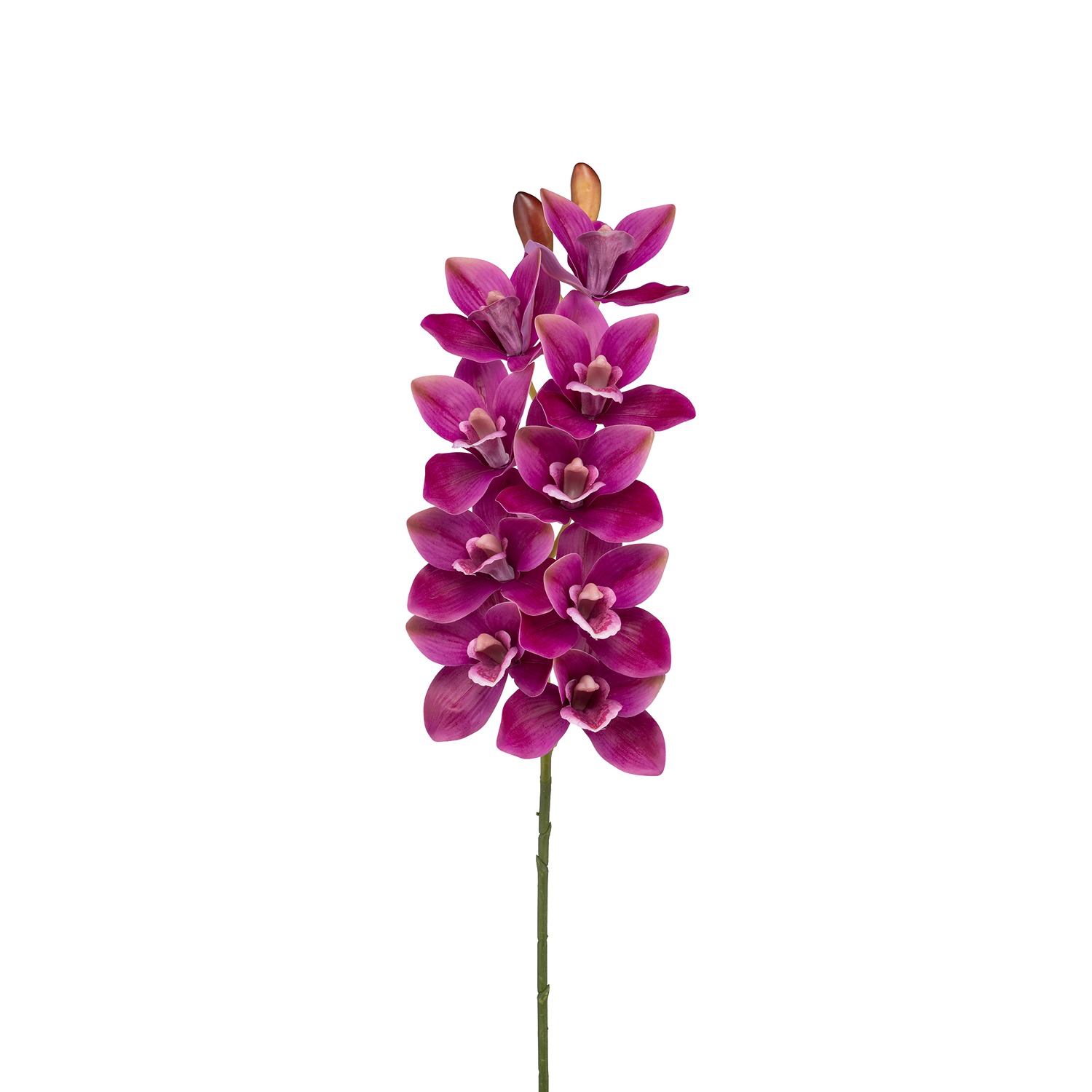 Fiorile Fuchsia Cymbidium Gift