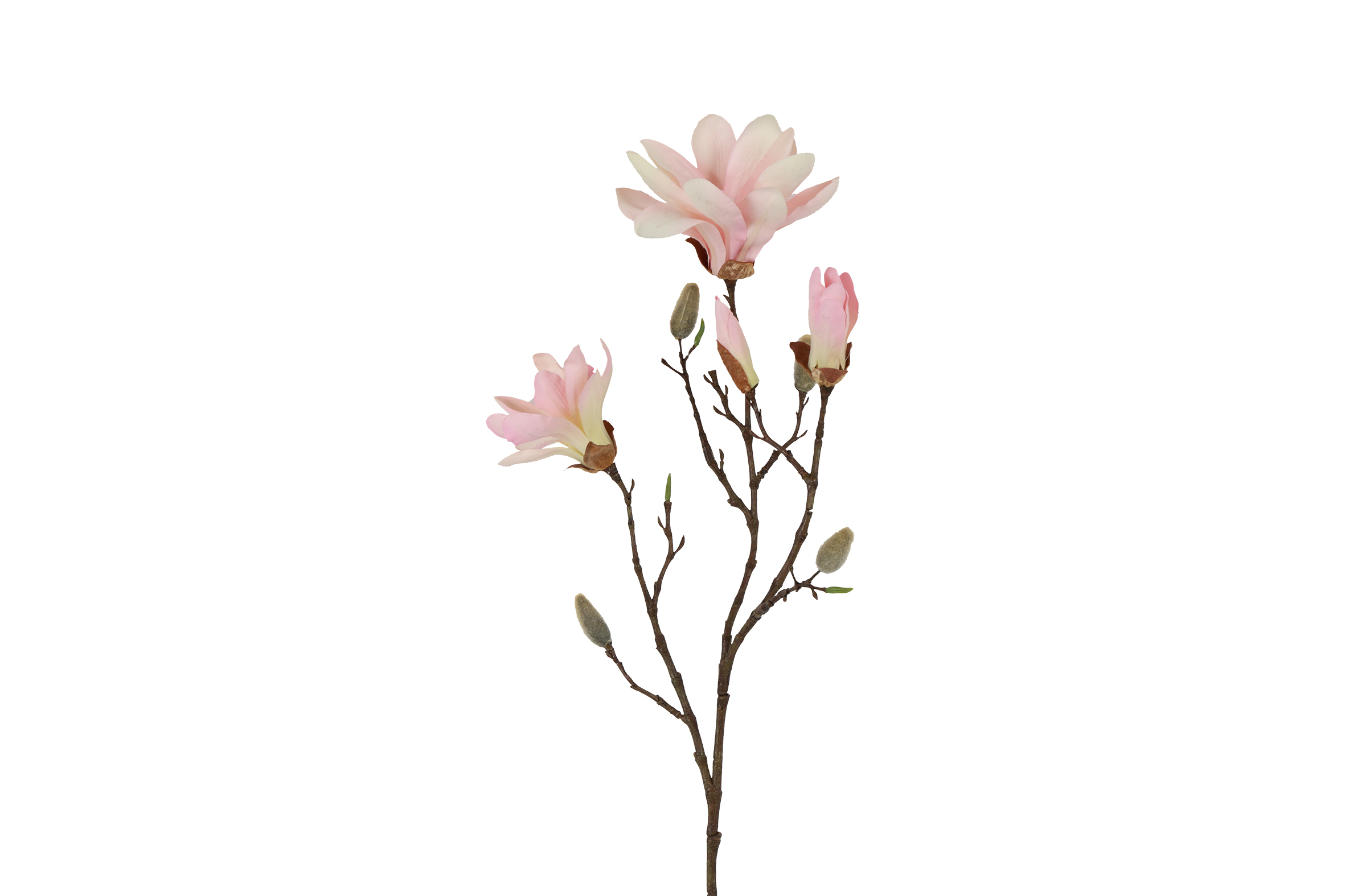 Art Flower Magnolia Spray Chayca M Pink Gift