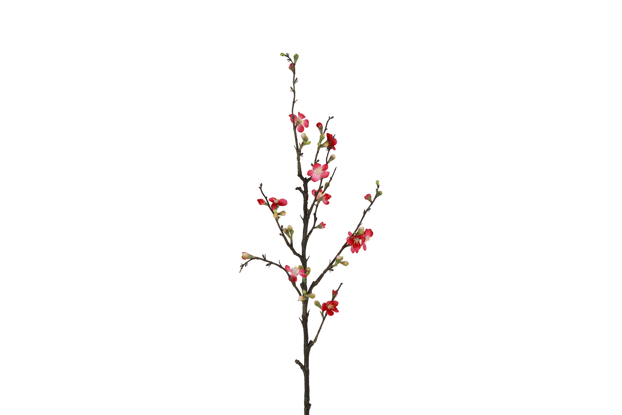 Art Flower Blossom Branch Quince M Fuchsia Gift