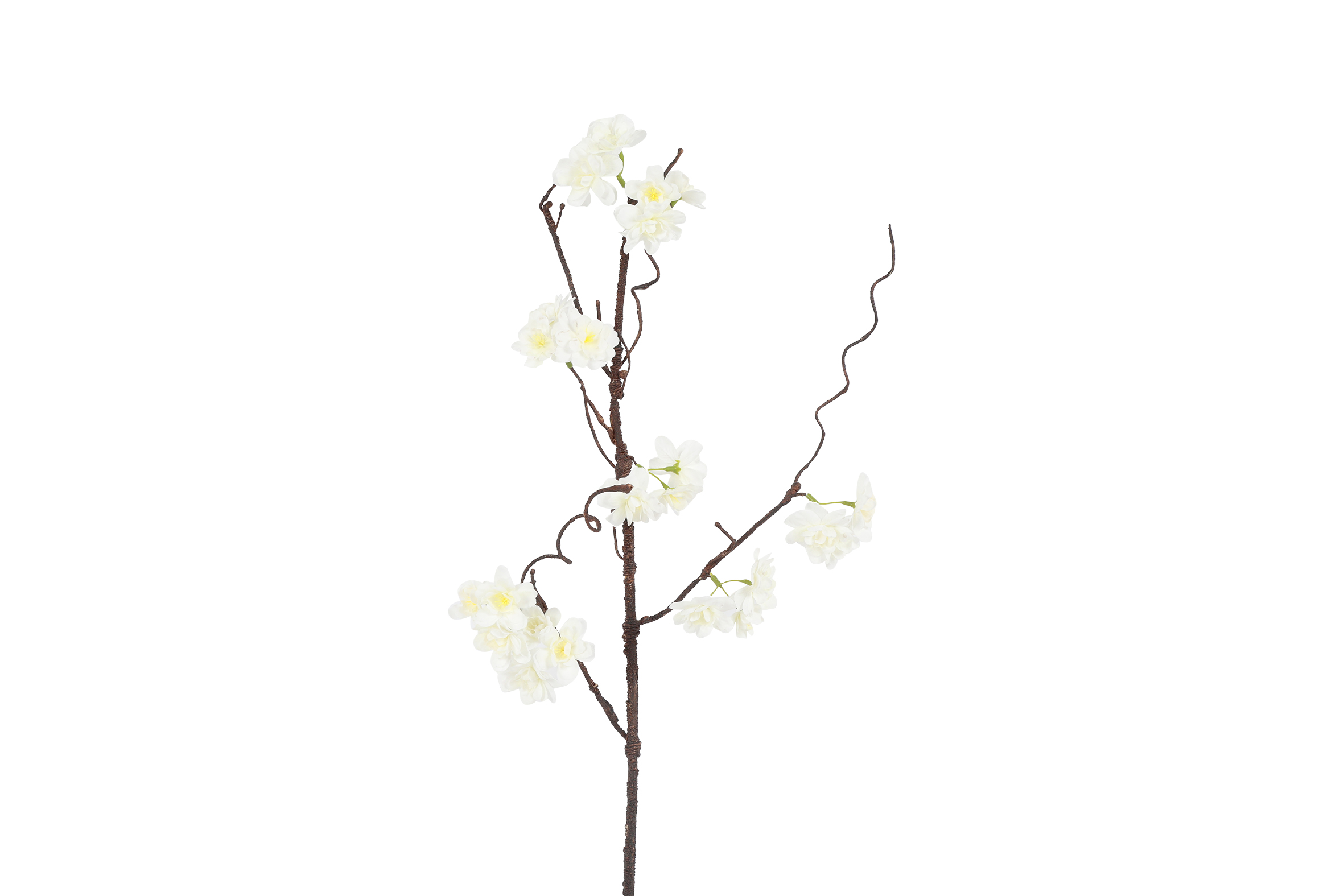 Art Flower Maxi Prunus Sakura White Gift