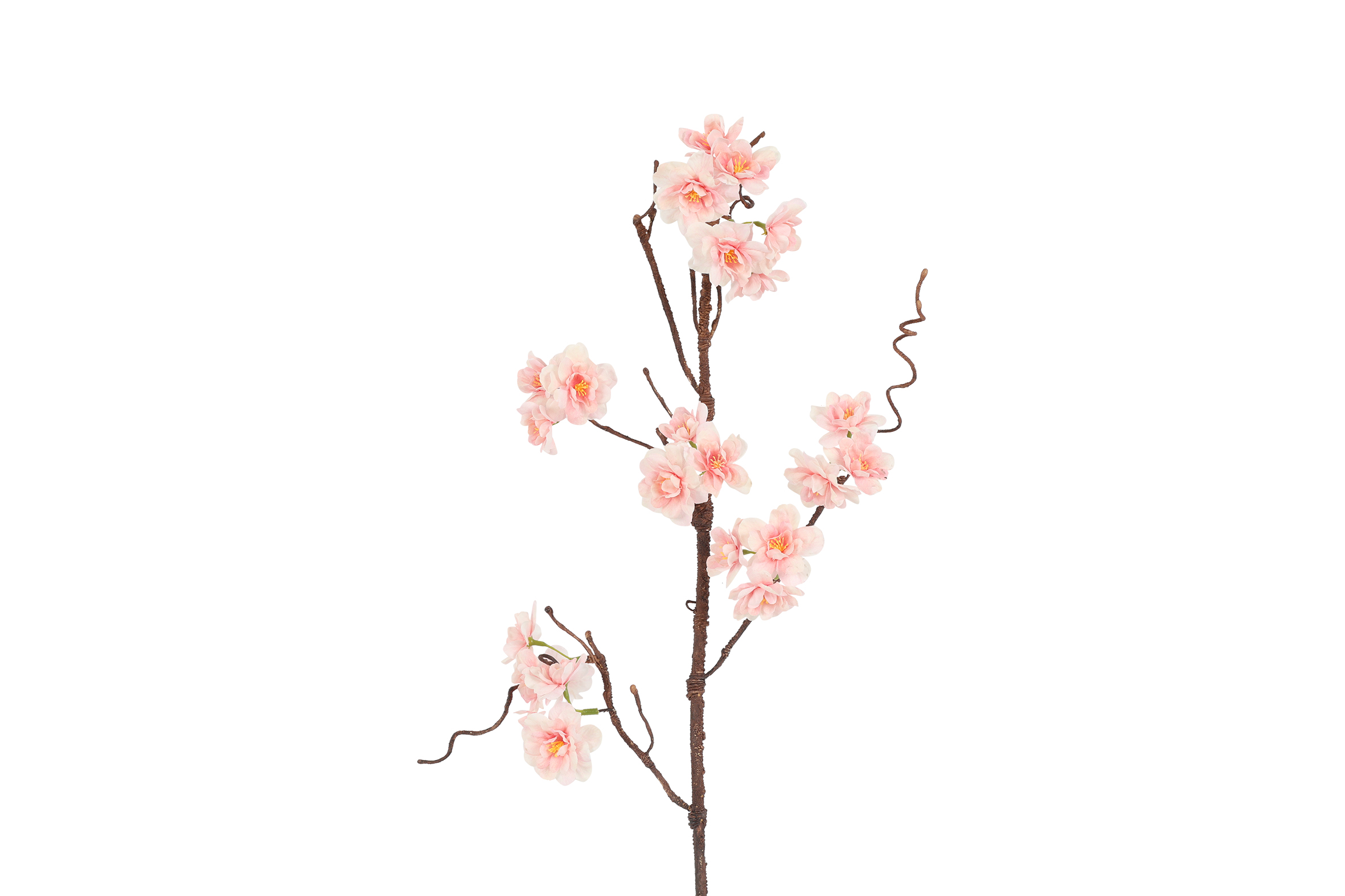 Art Flower Maxi Prunus Sakura Pink Gift