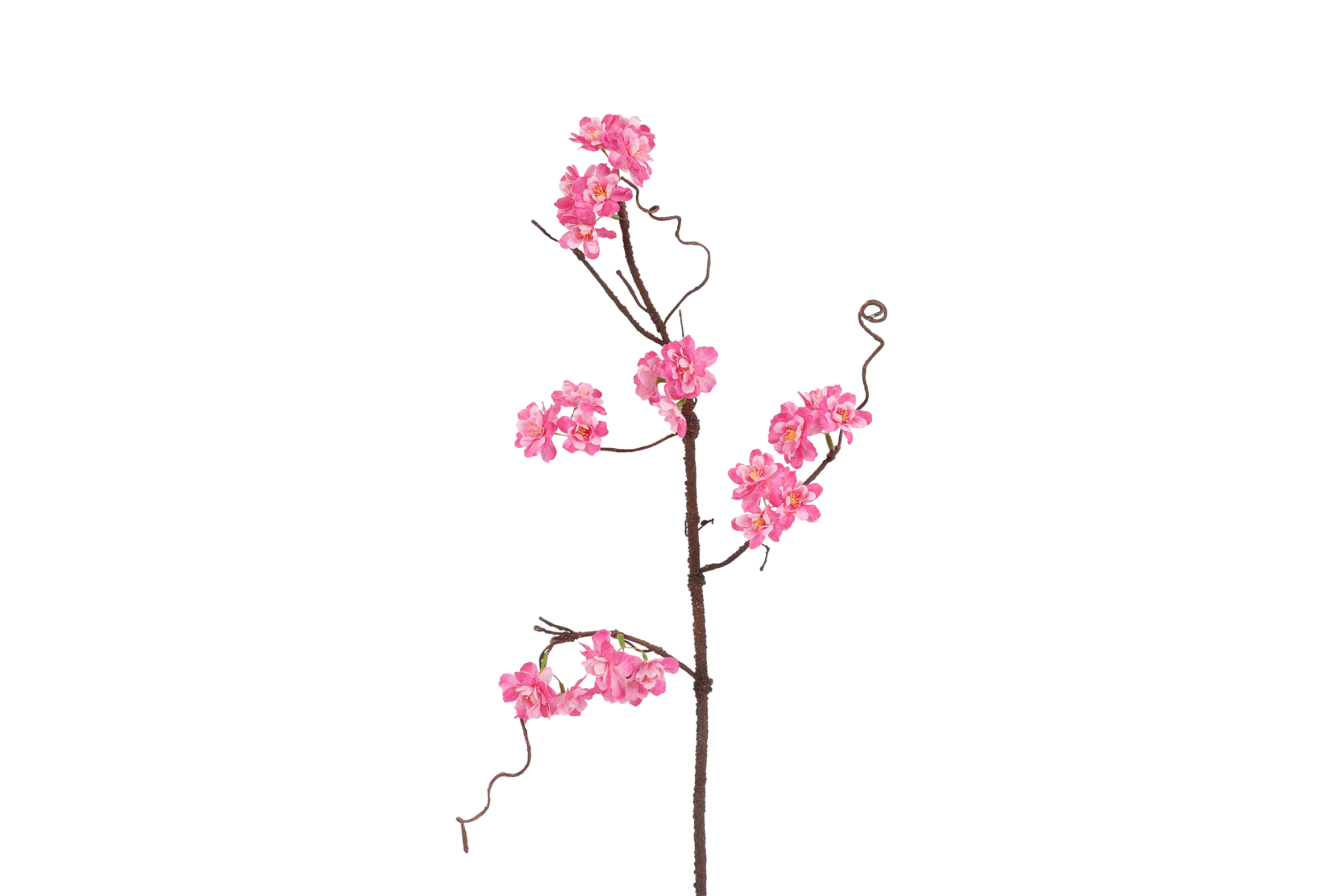 Art Flower Maxi Prunus Sakura D.pink Gift